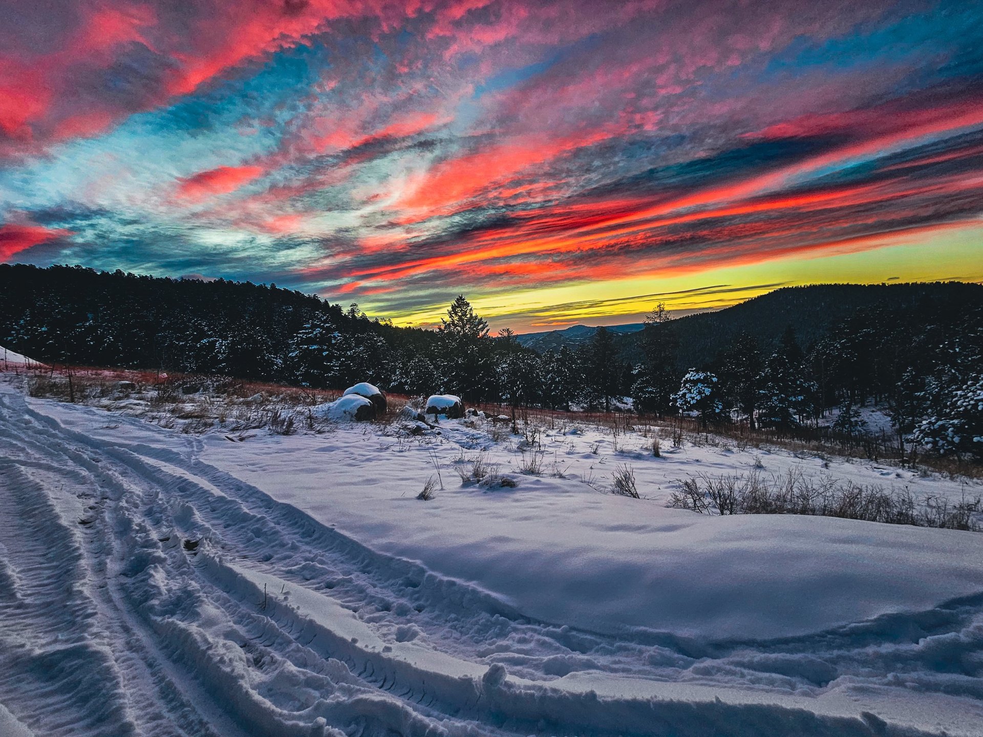 gray computer monitor