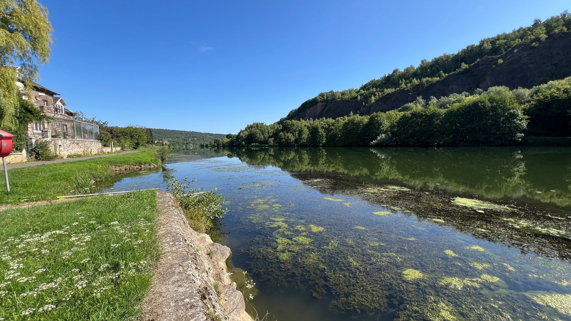 woman wearing yellow long-sleeved dress under white clouds and blue sky during daytime