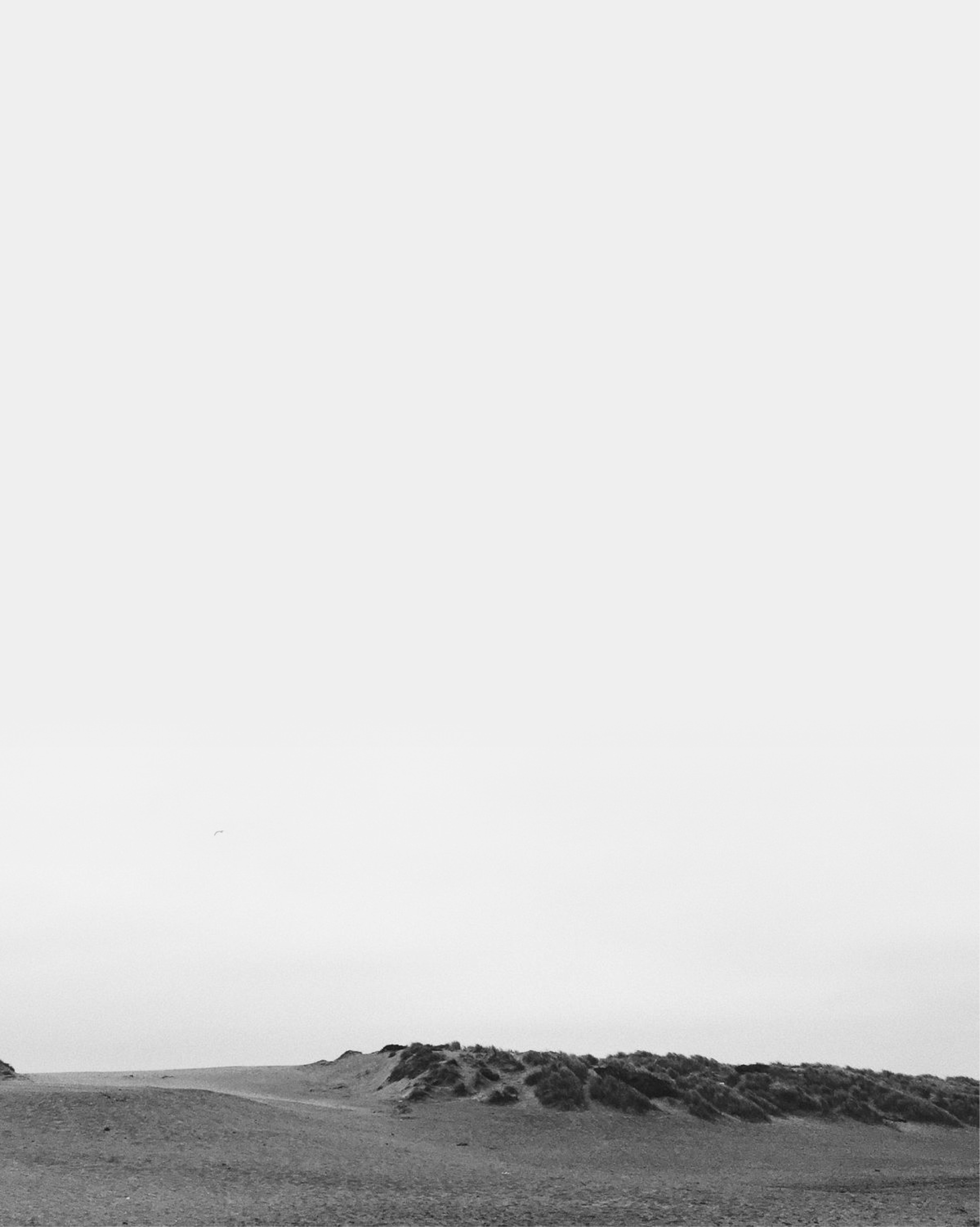 an abstract photo of a curved building with a blue sky in the background