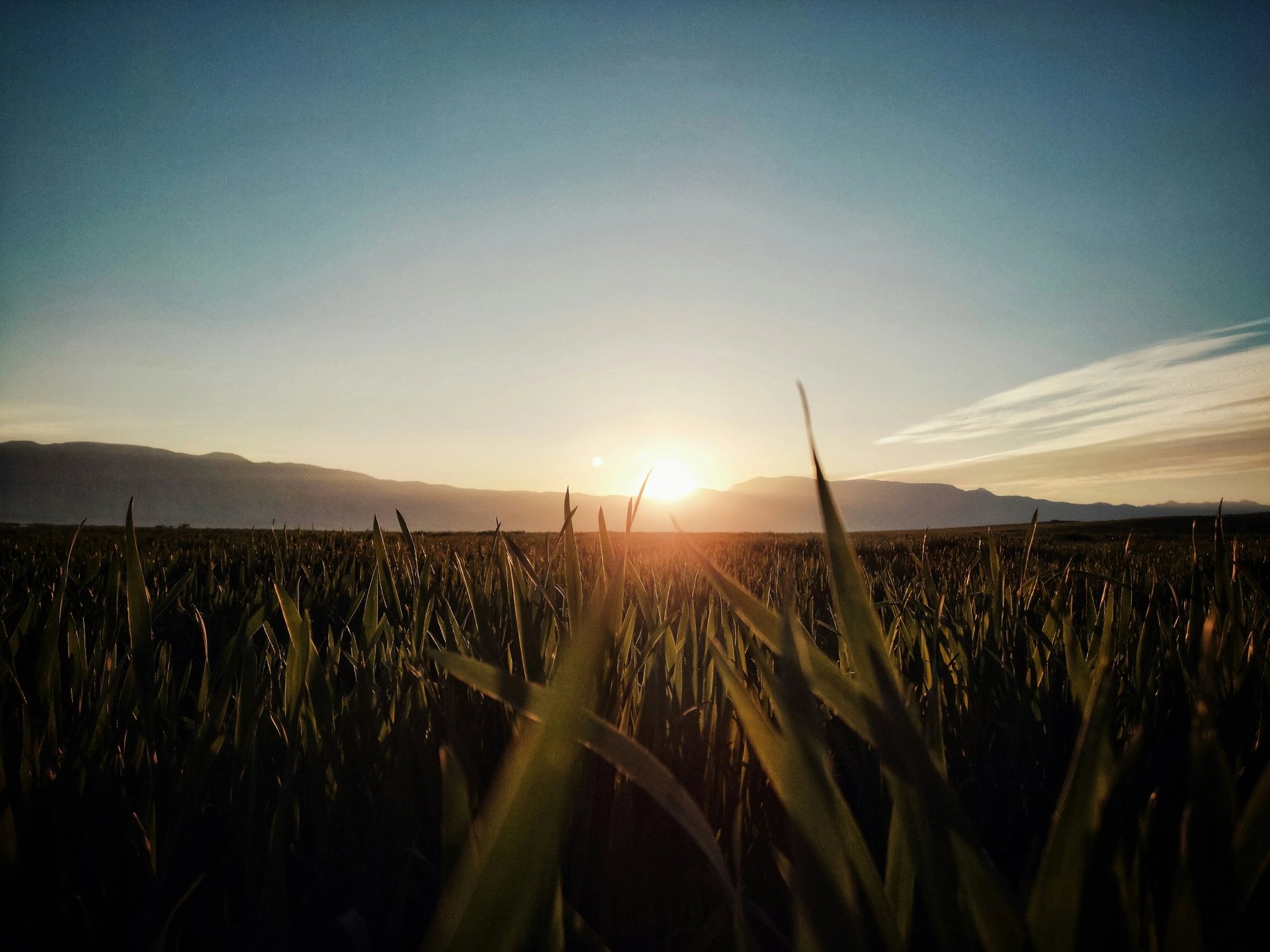 conseil agriculture maroc