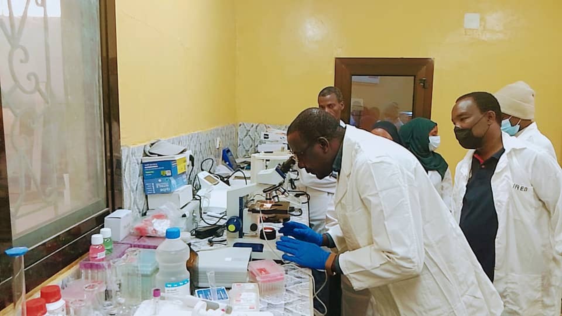 black and white bed linen