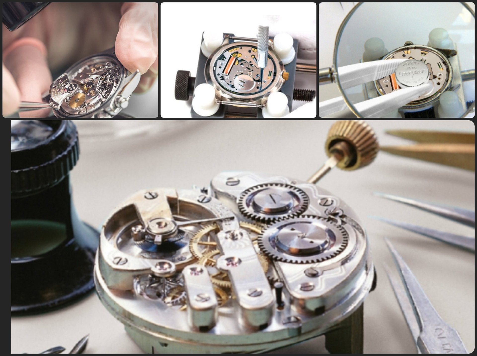 woman holding dried flower