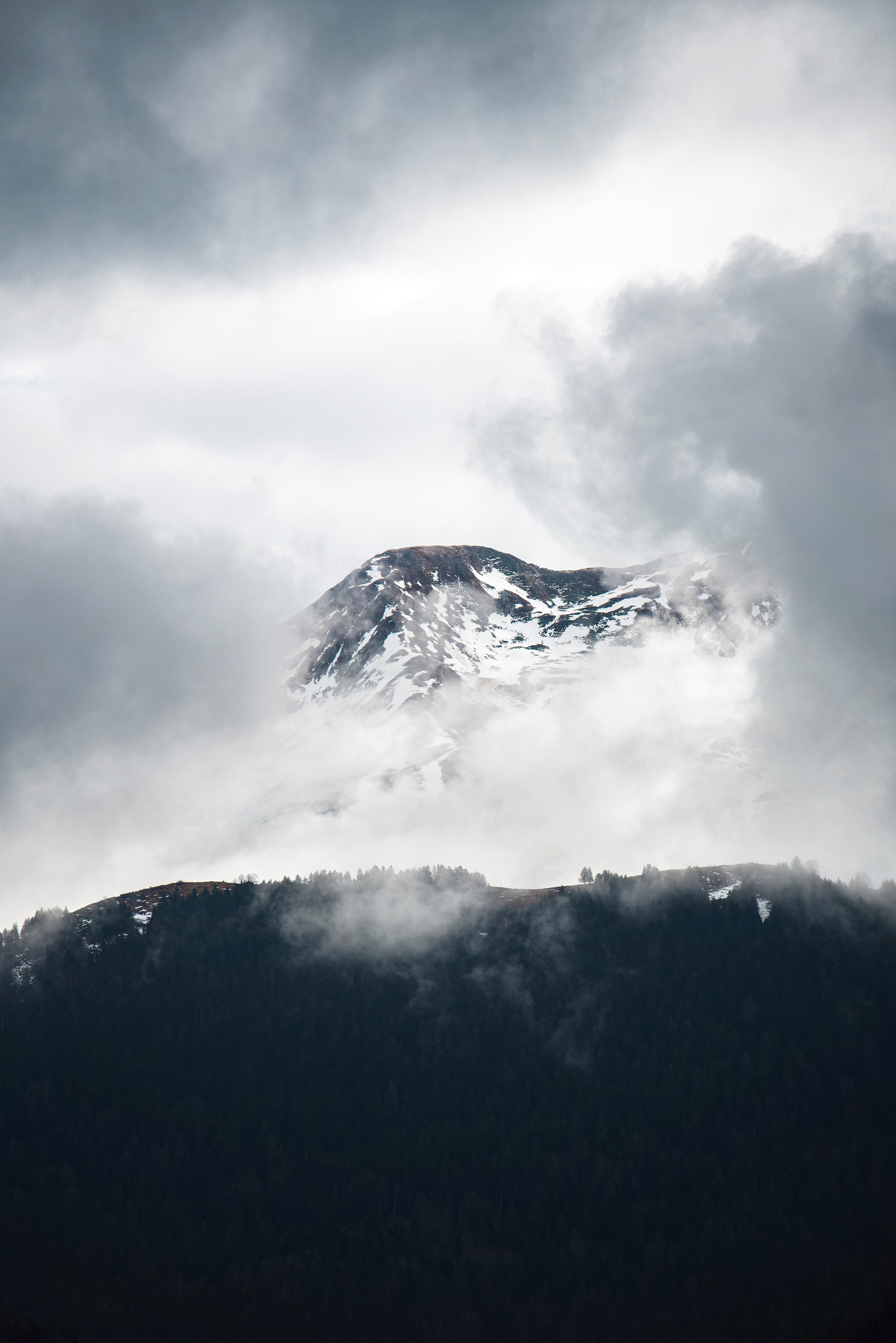 black and white bed linen
