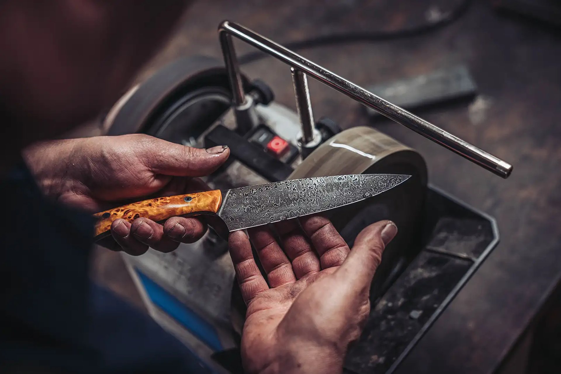 woman holding dried flower