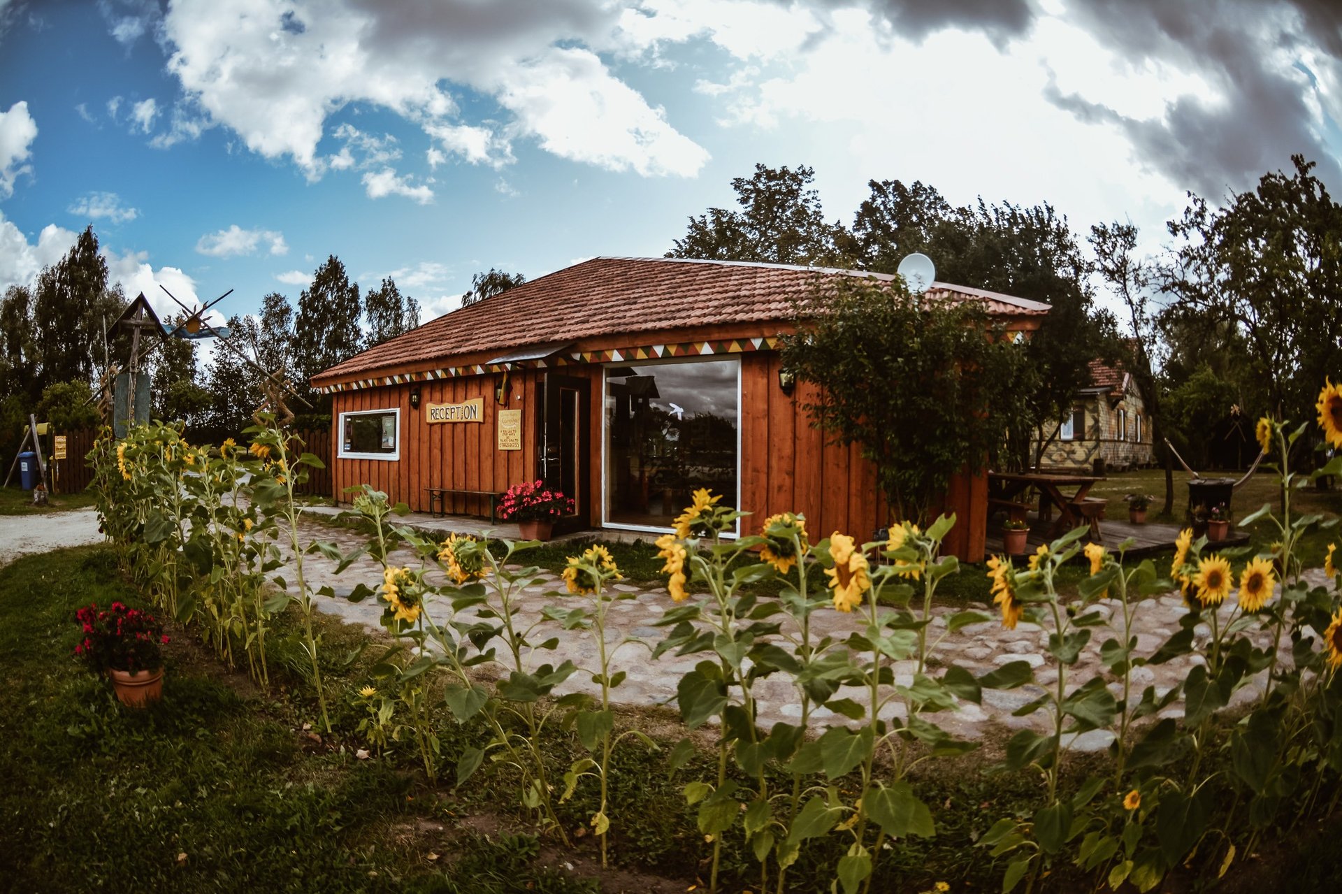 black and white bed linen