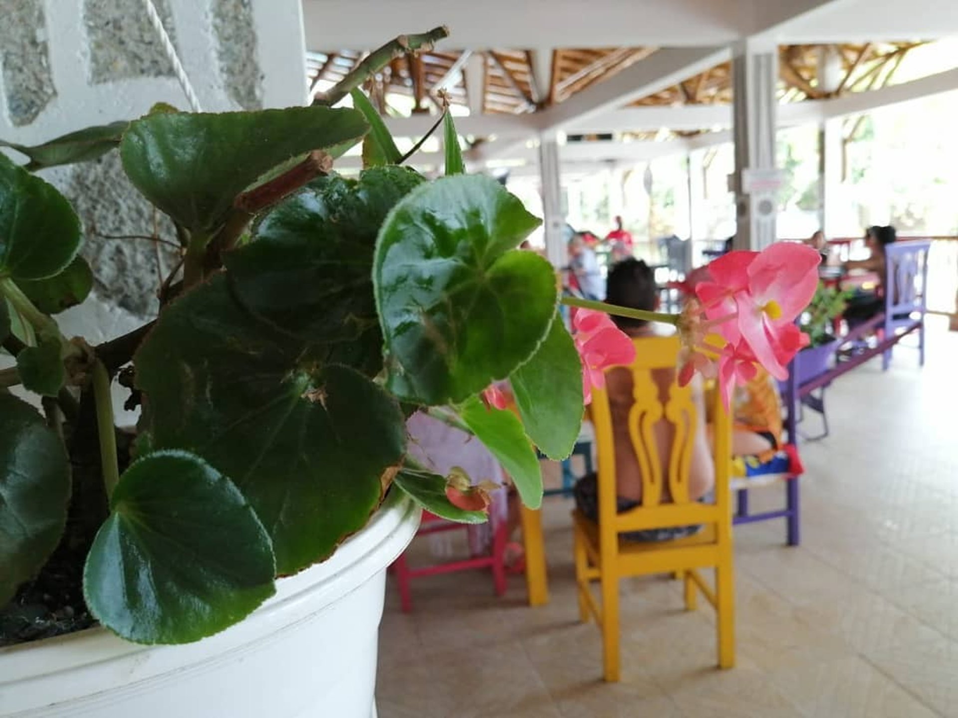 black and white bed linen