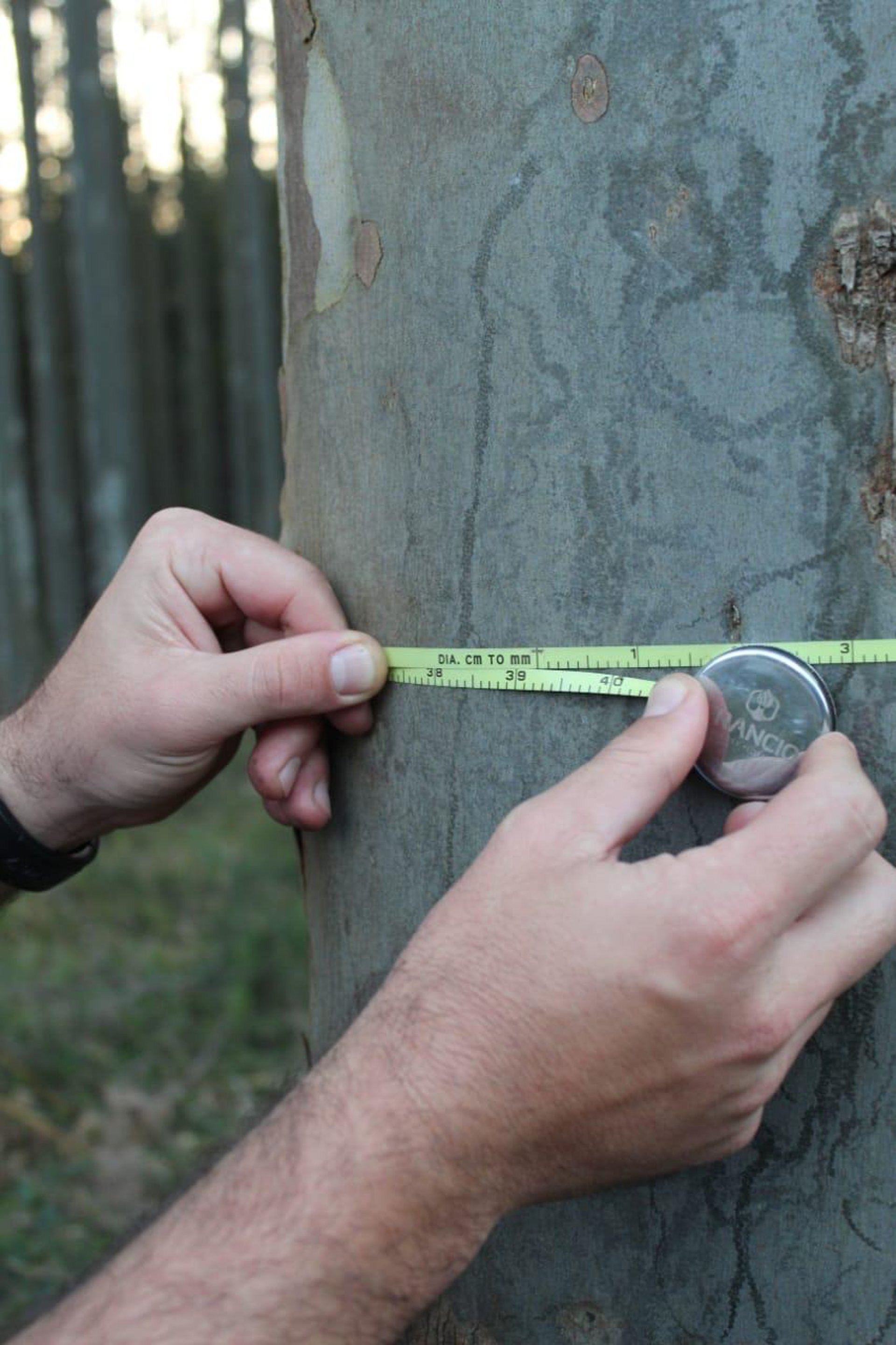 a close up of the bark of a tree