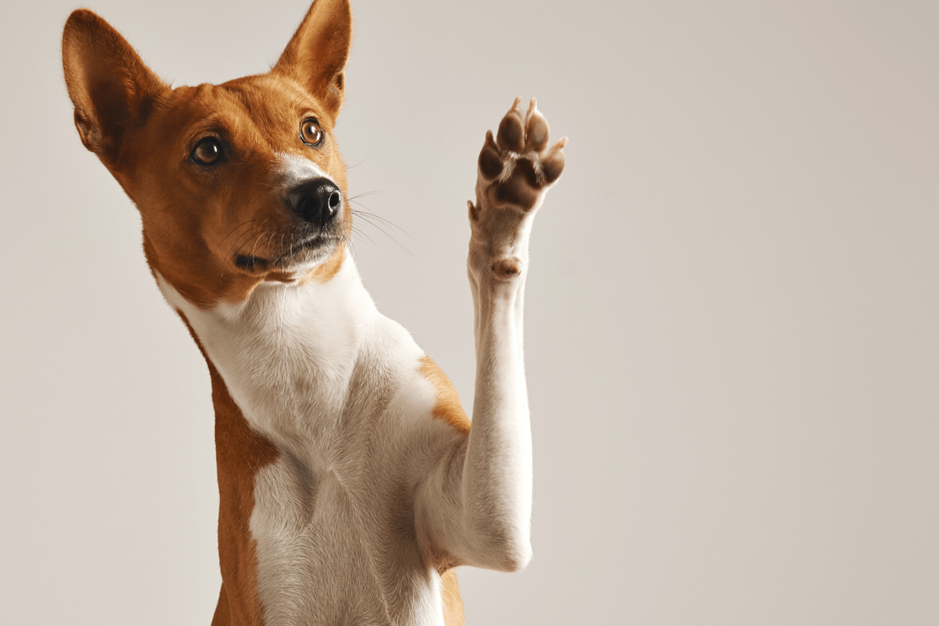 woman wearing yellow long-sleeved dress under white clouds and blue sky during daytime