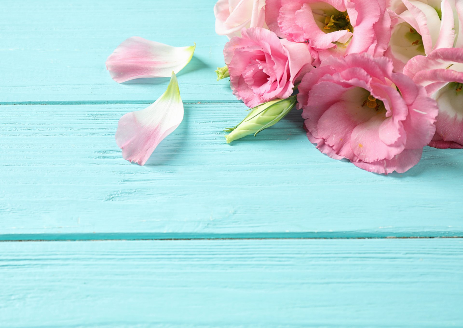 woman wearing yellow long-sleeved dress under white clouds and blue sky during daytime