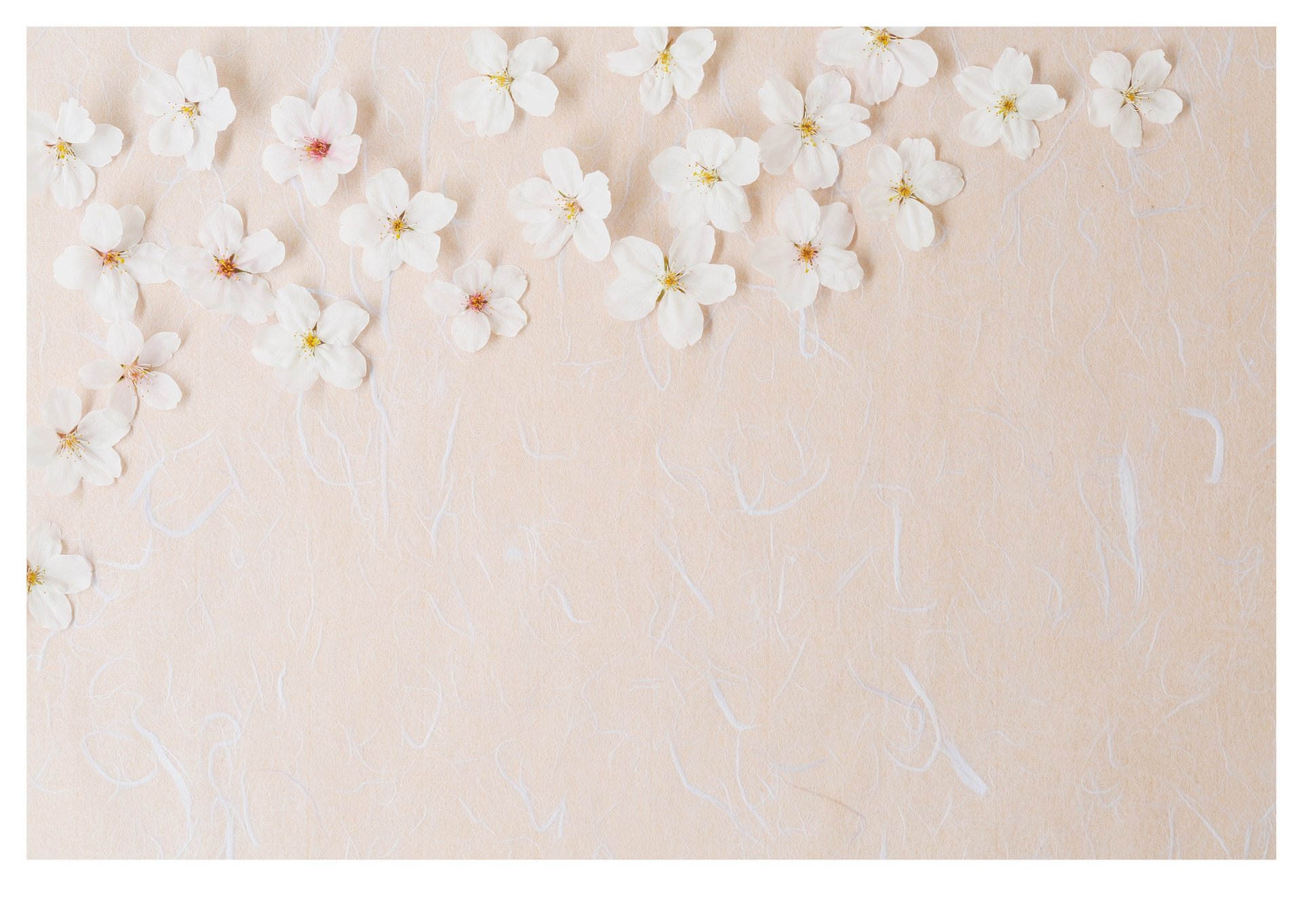 woman wearing yellow long-sleeved dress under white clouds and blue sky during daytime