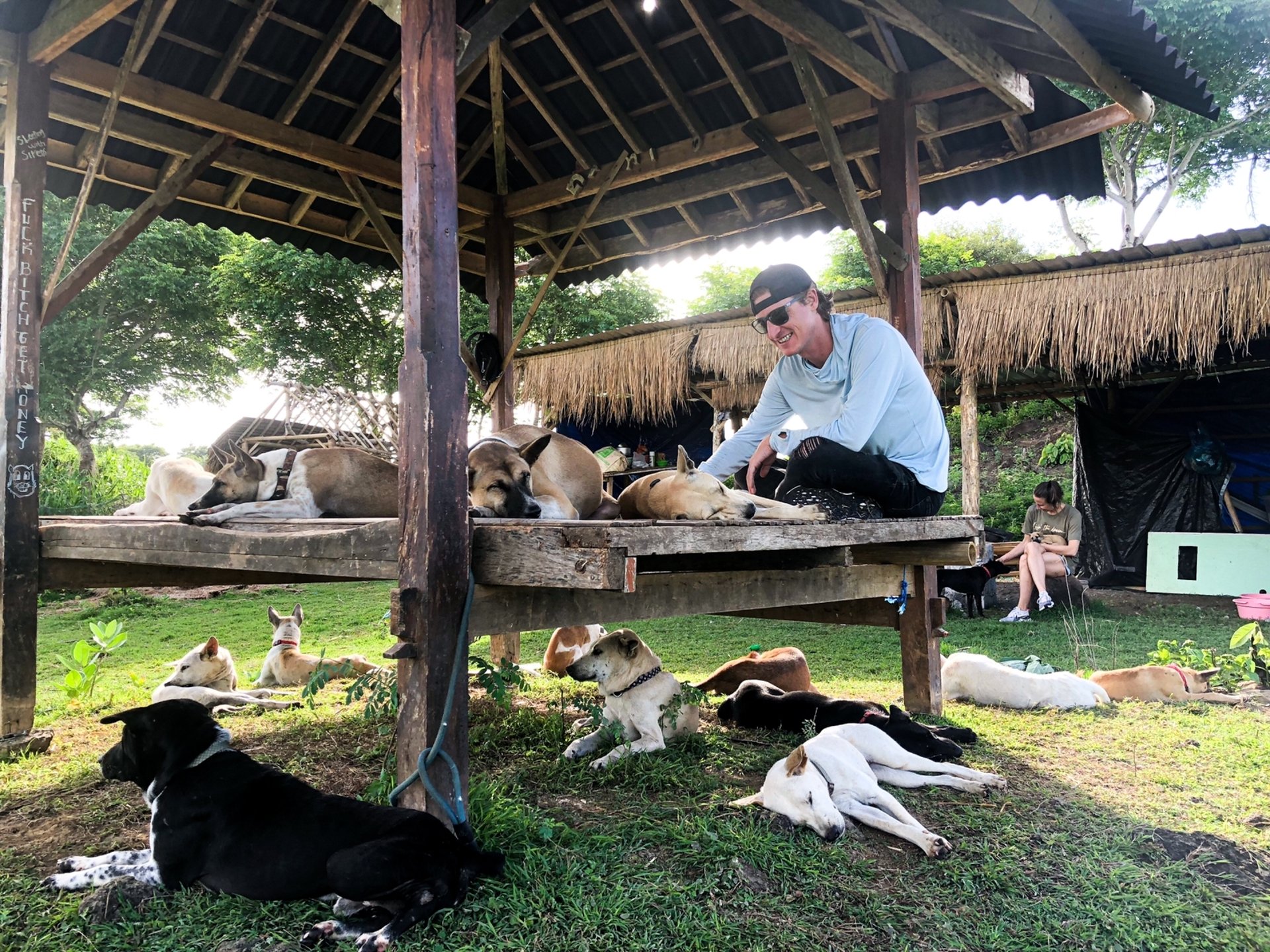 an abstract photo of a curved building with a blue sky in the background
