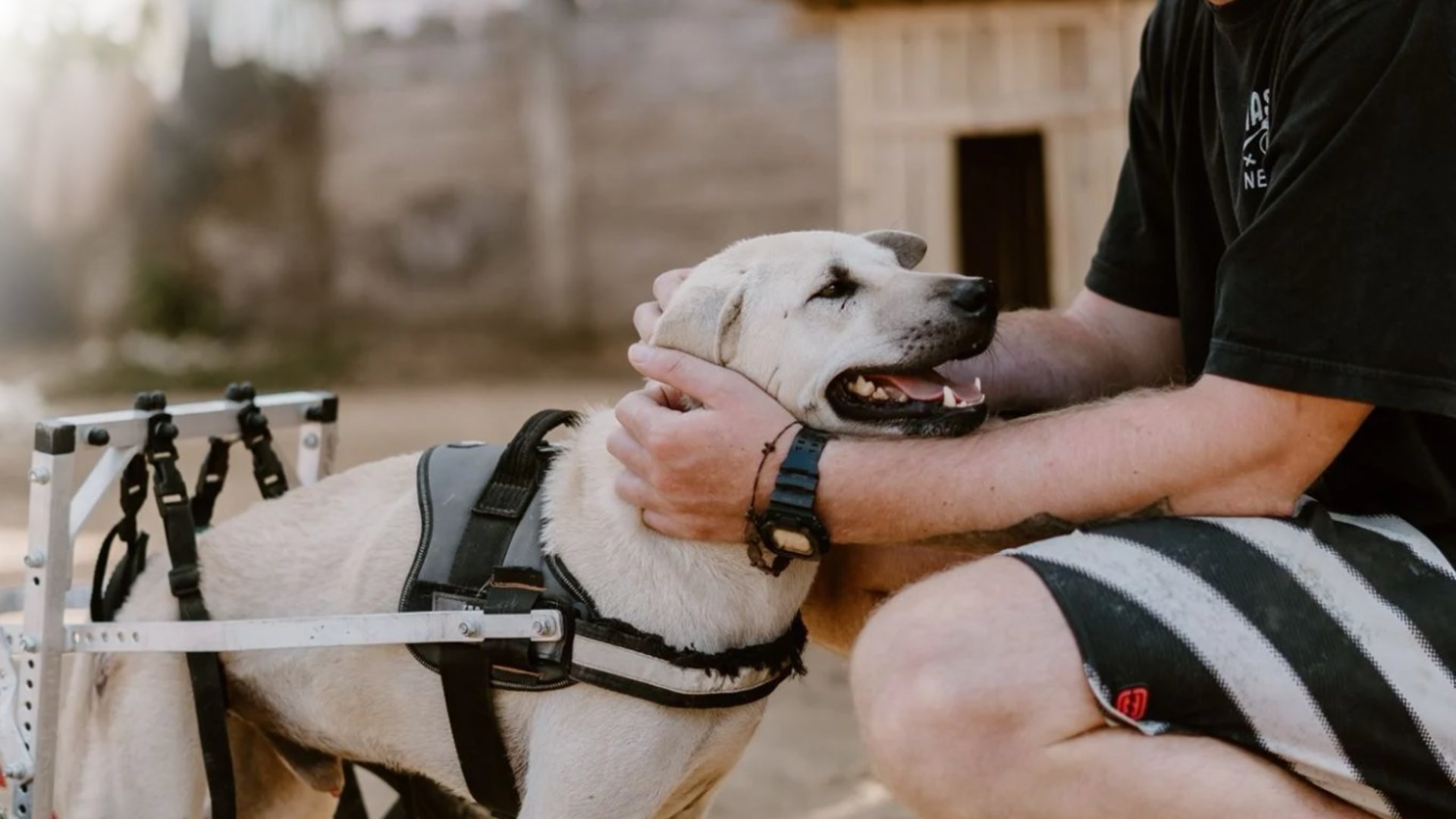 an abstract photo of a curved building with a blue sky in the background