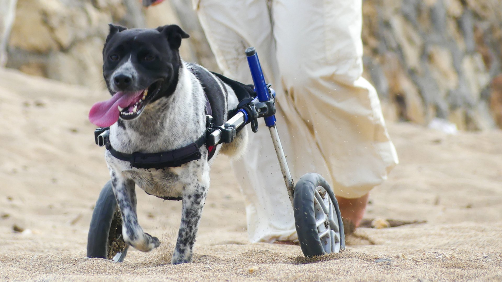 an abstract photo of a curved building with a blue sky in the background