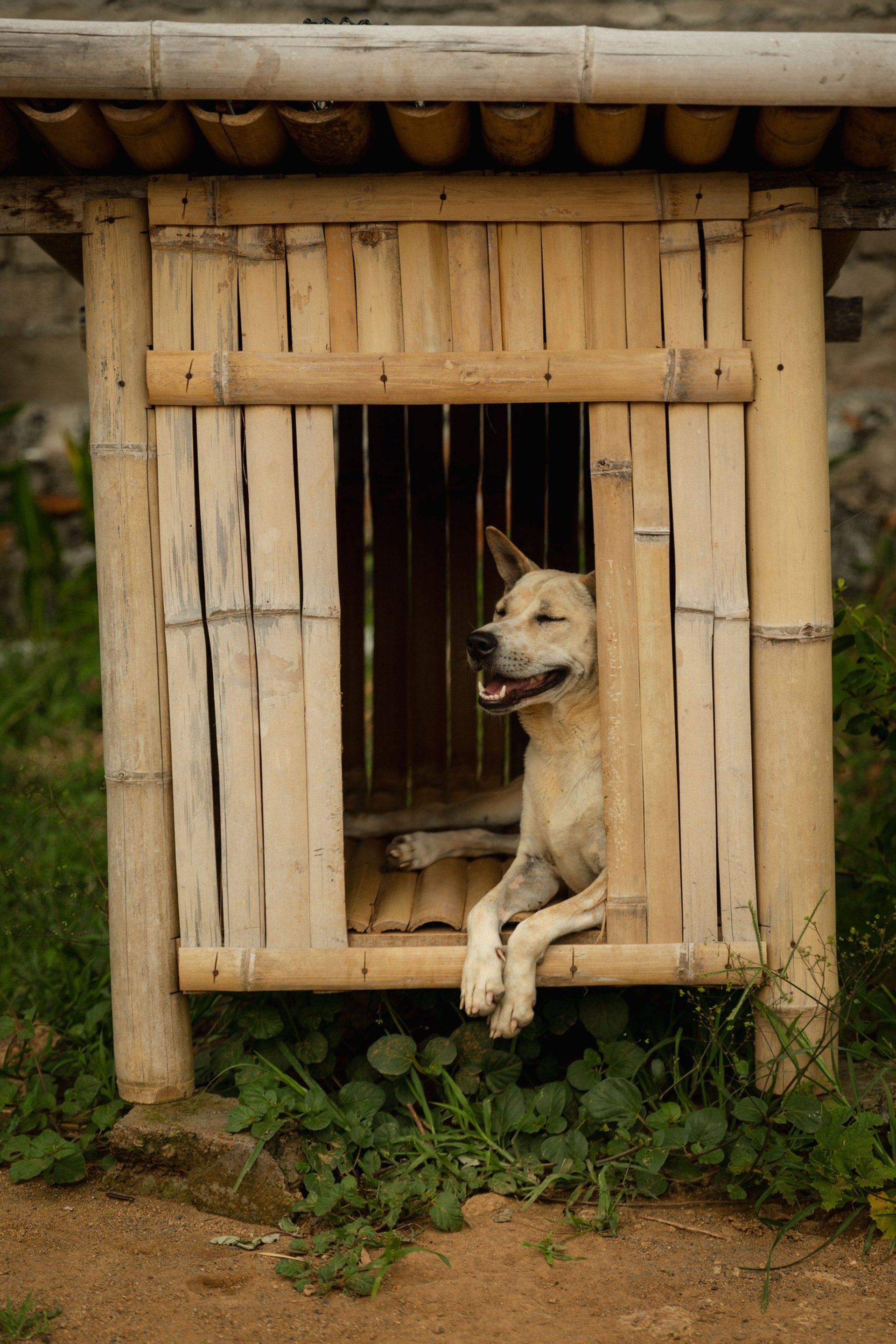 an abstract photo of a curved building with a blue sky in the background