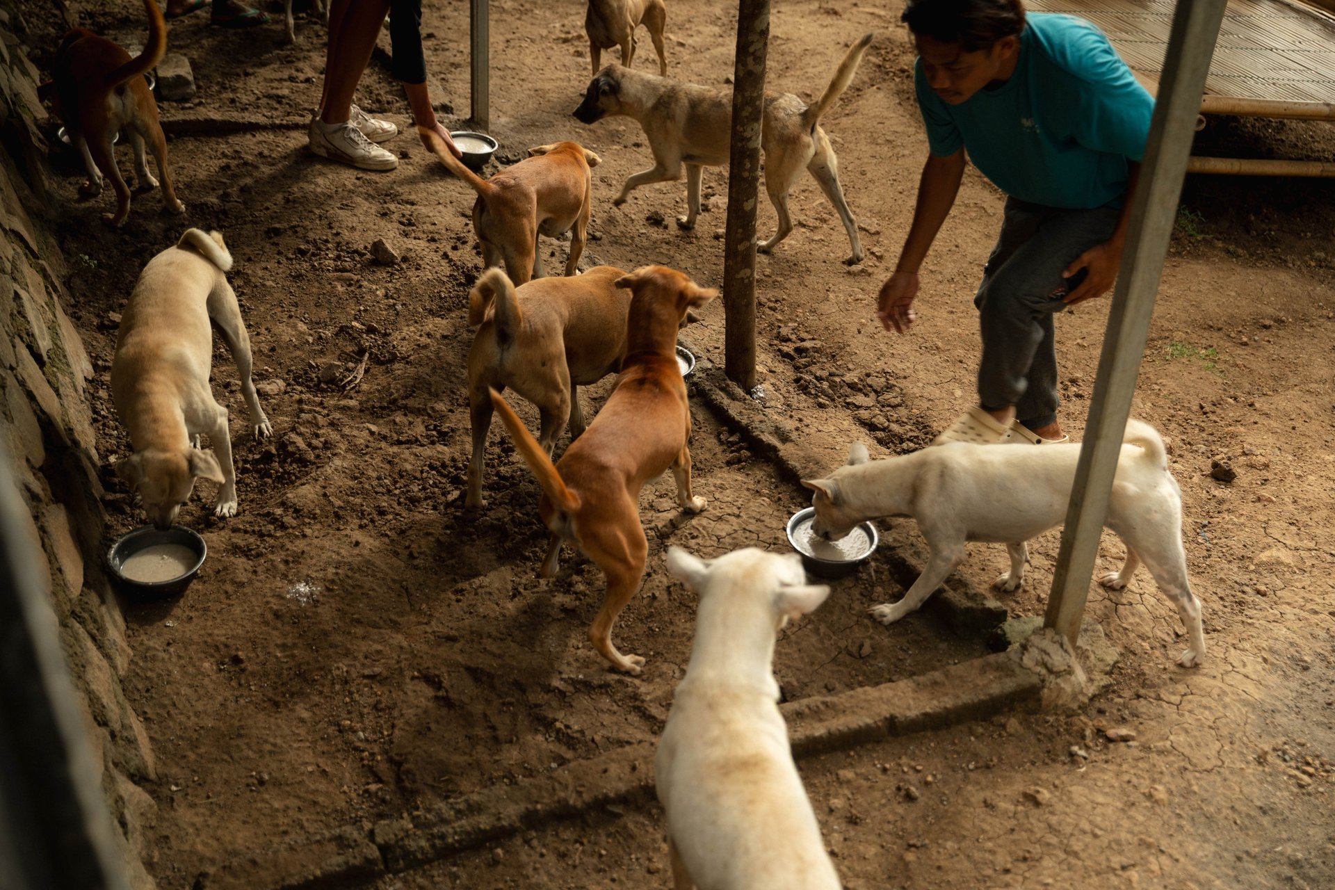 an abstract photo of a curved building with a blue sky in the background