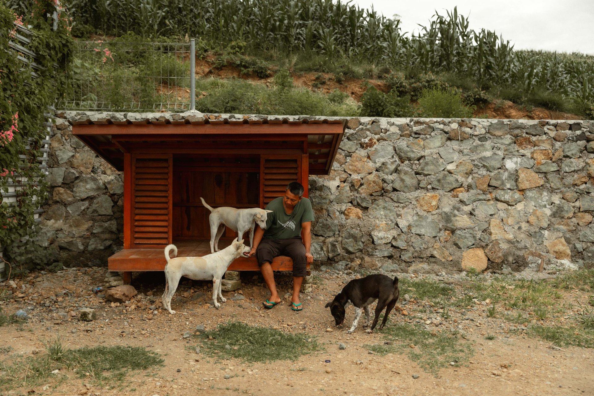 an abstract photo of a curved building with a blue sky in the background