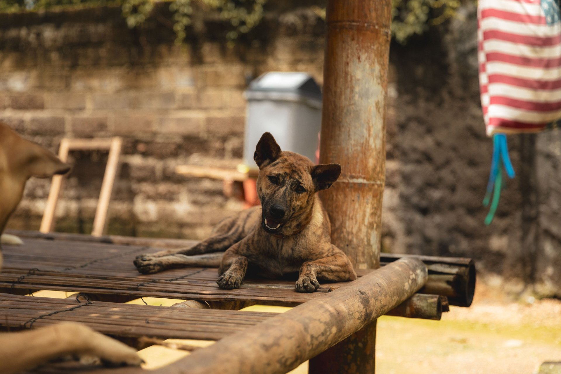 an abstract photo of a curved building with a blue sky in the background