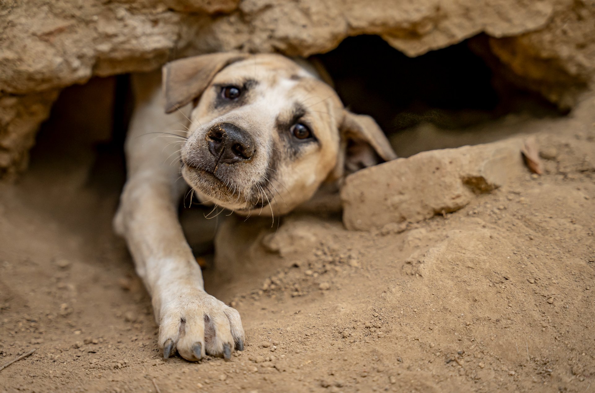 an abstract photo of a curved building with a blue sky in the background