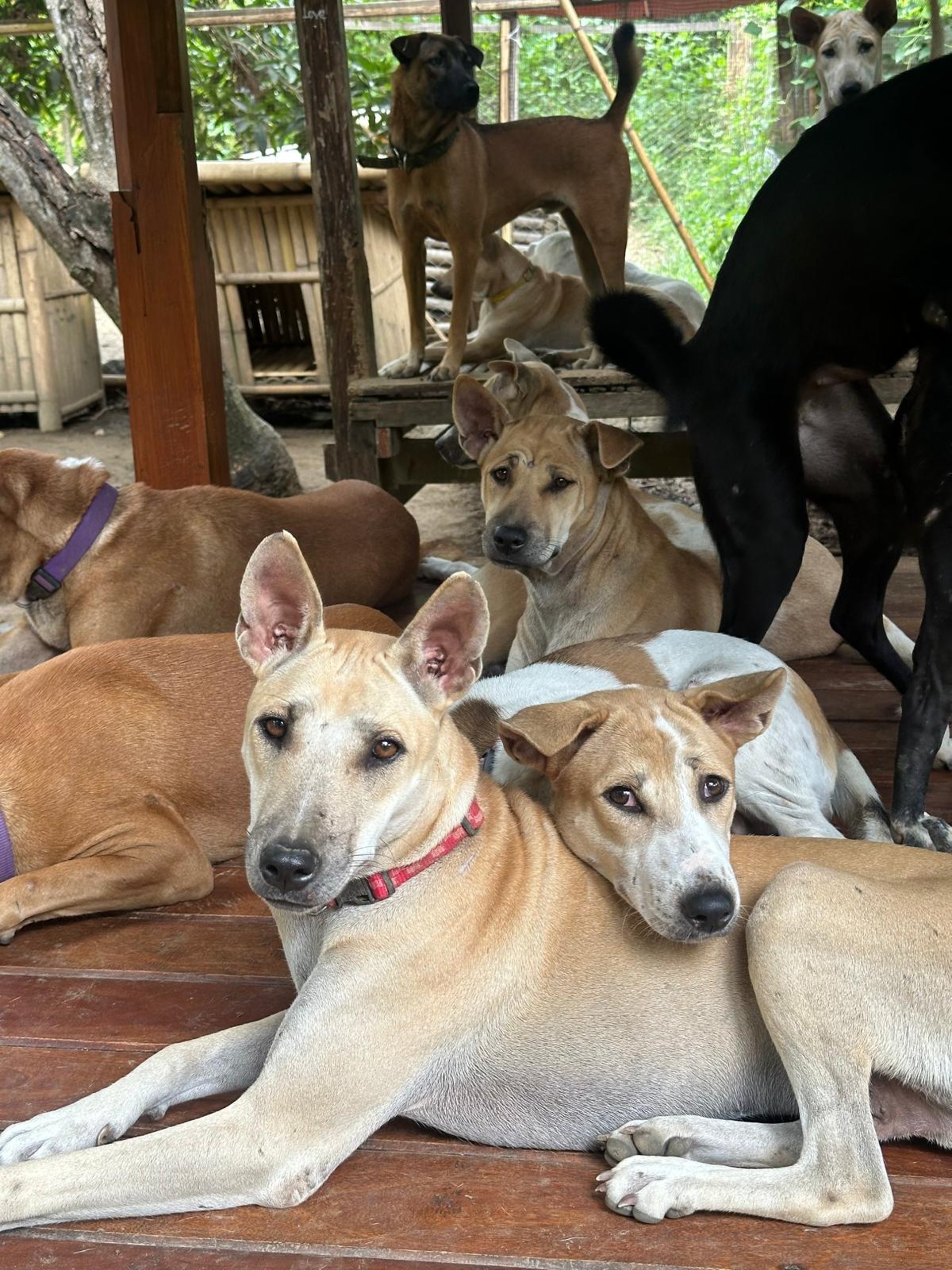 an abstract photo of a curved building with a blue sky in the background