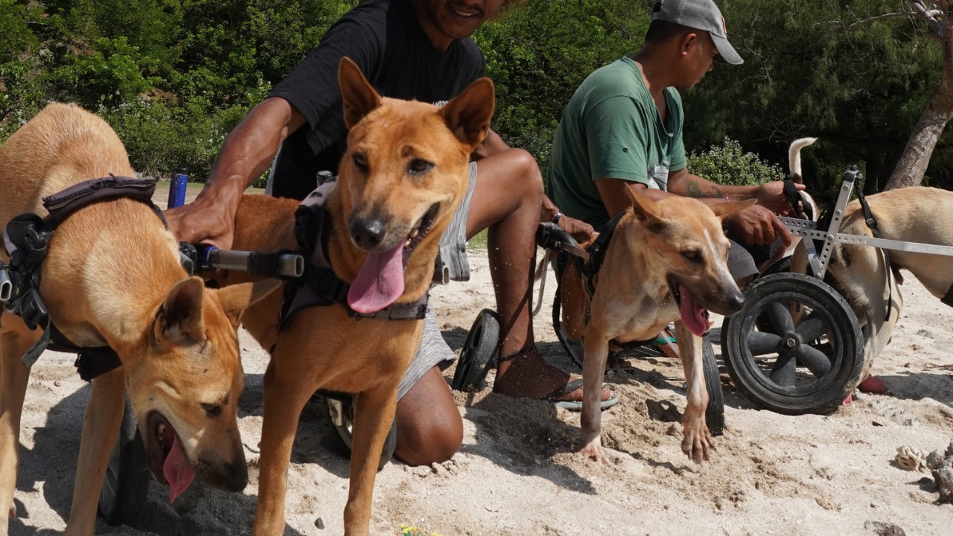 an abstract photo of a curved building with a blue sky in the background