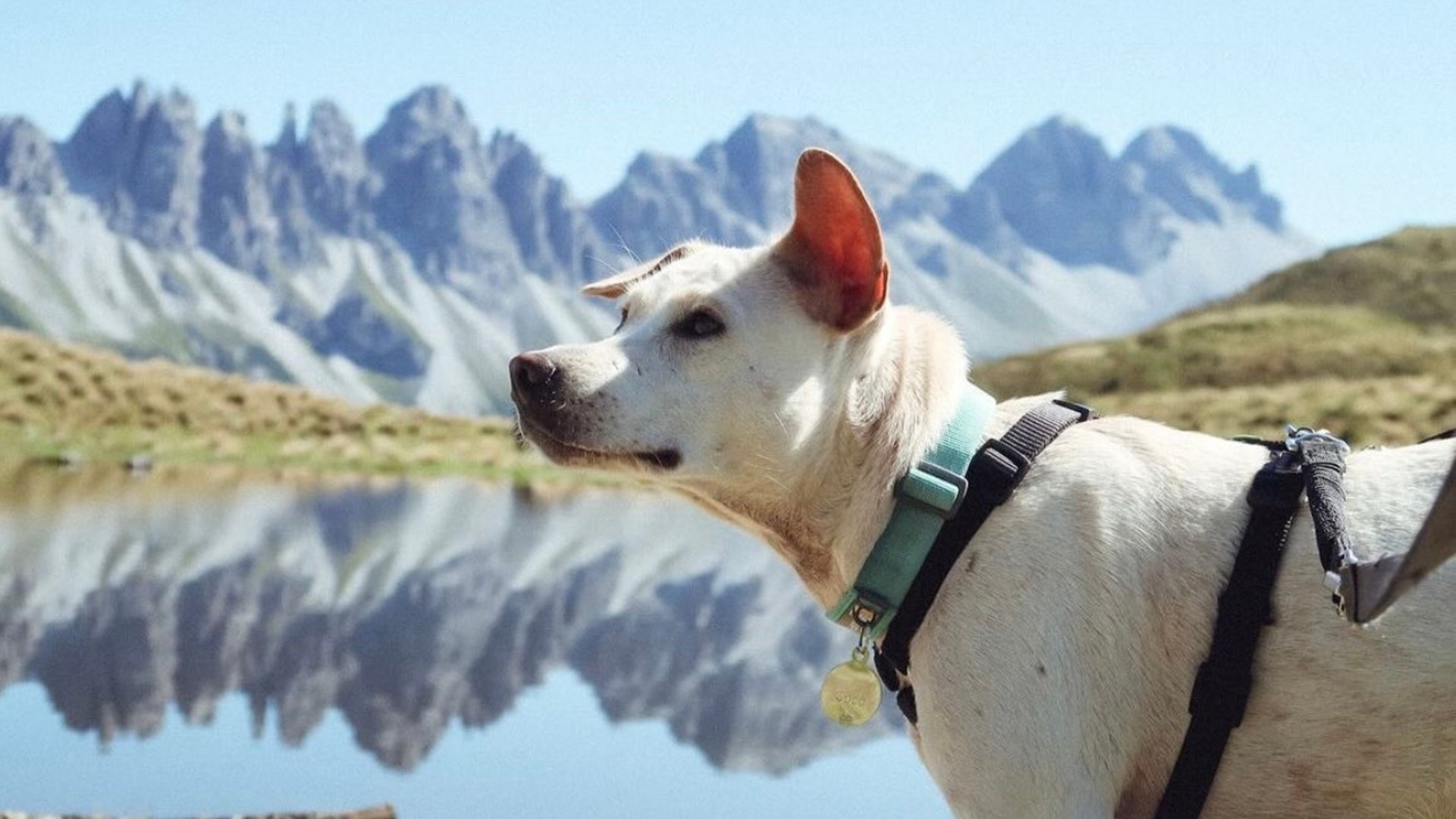 an abstract photo of a curved building with a blue sky in the background