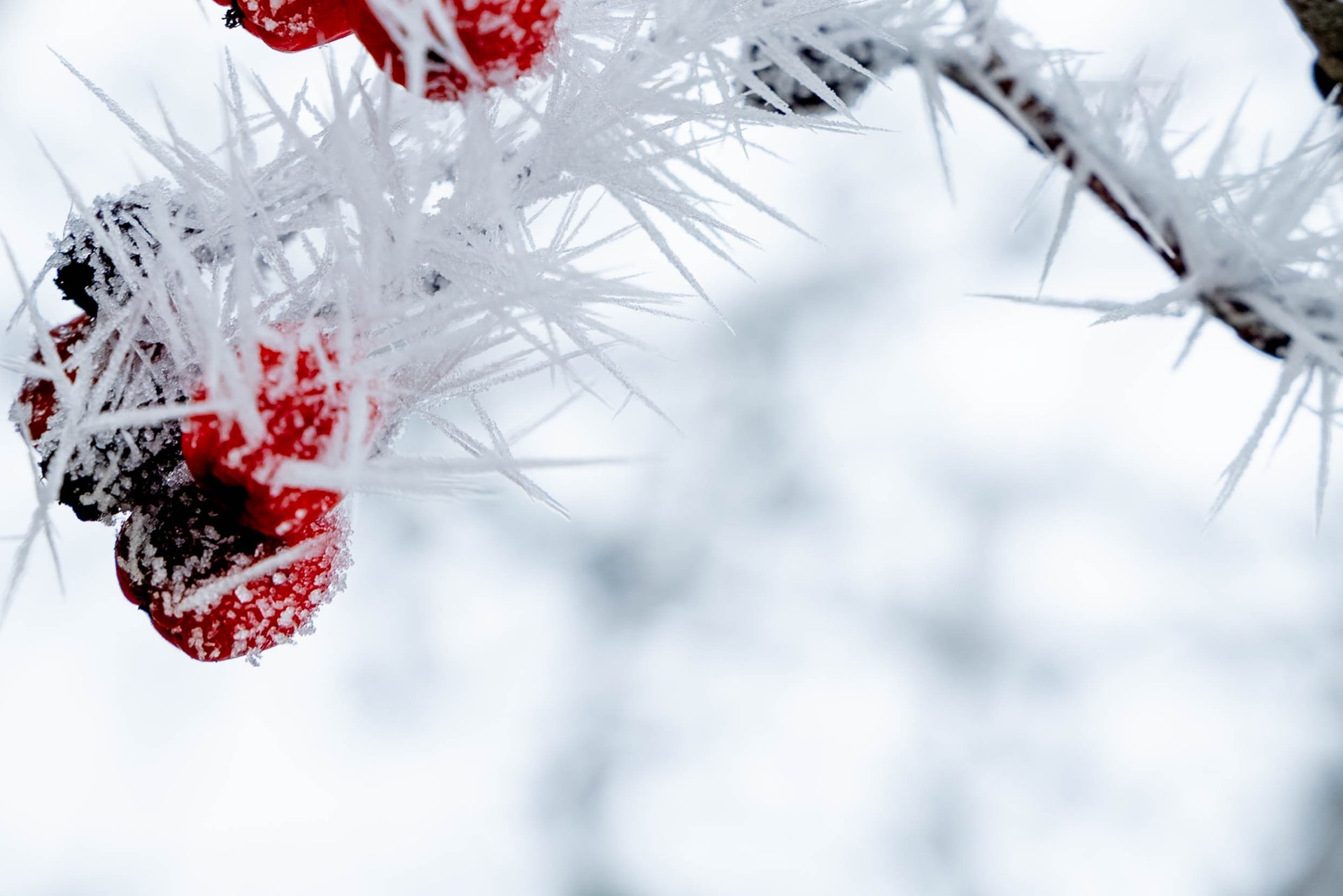 woman wearing yellow long-sleeved dress under white clouds and blue sky during daytime