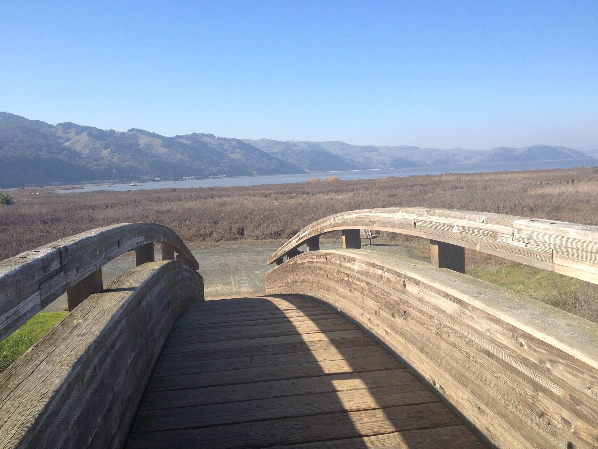 black and brown leather padded tub sofa