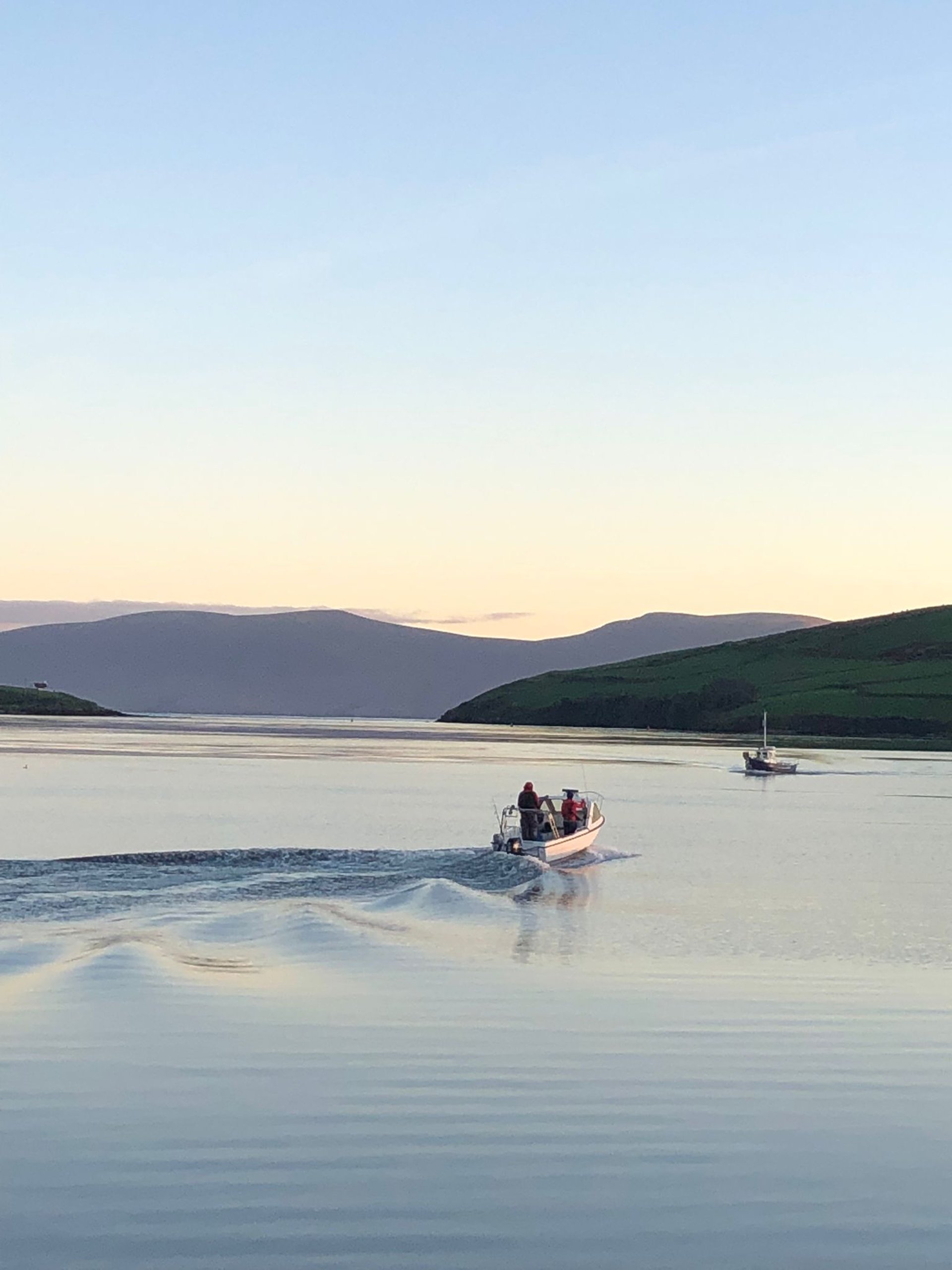 green grass field near body of water during daytime