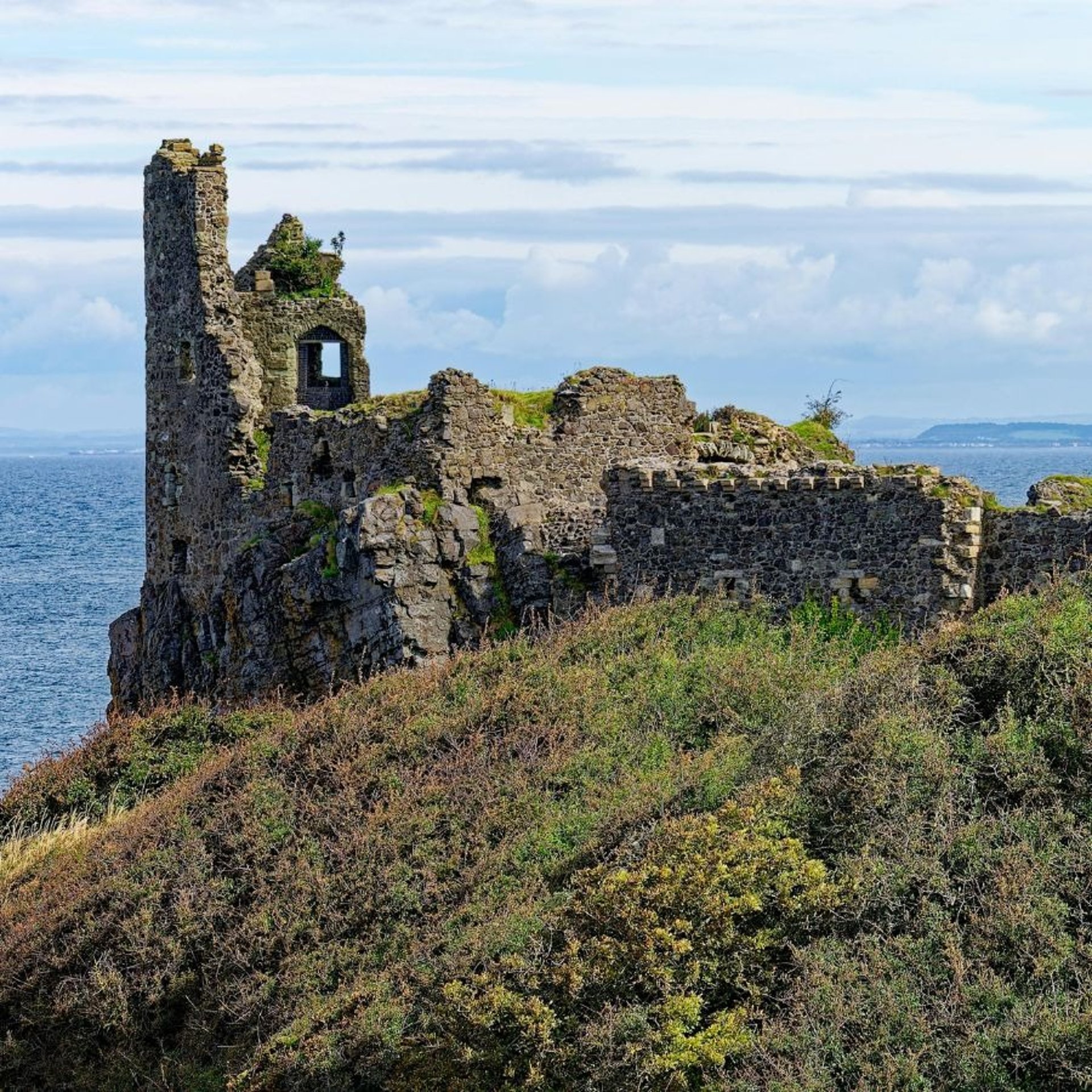 green grass field near body of water during daytime