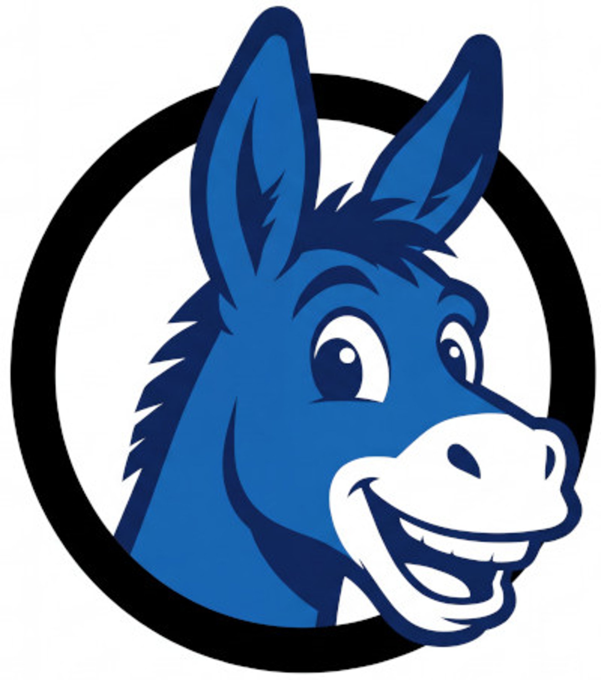 gray computer monitor