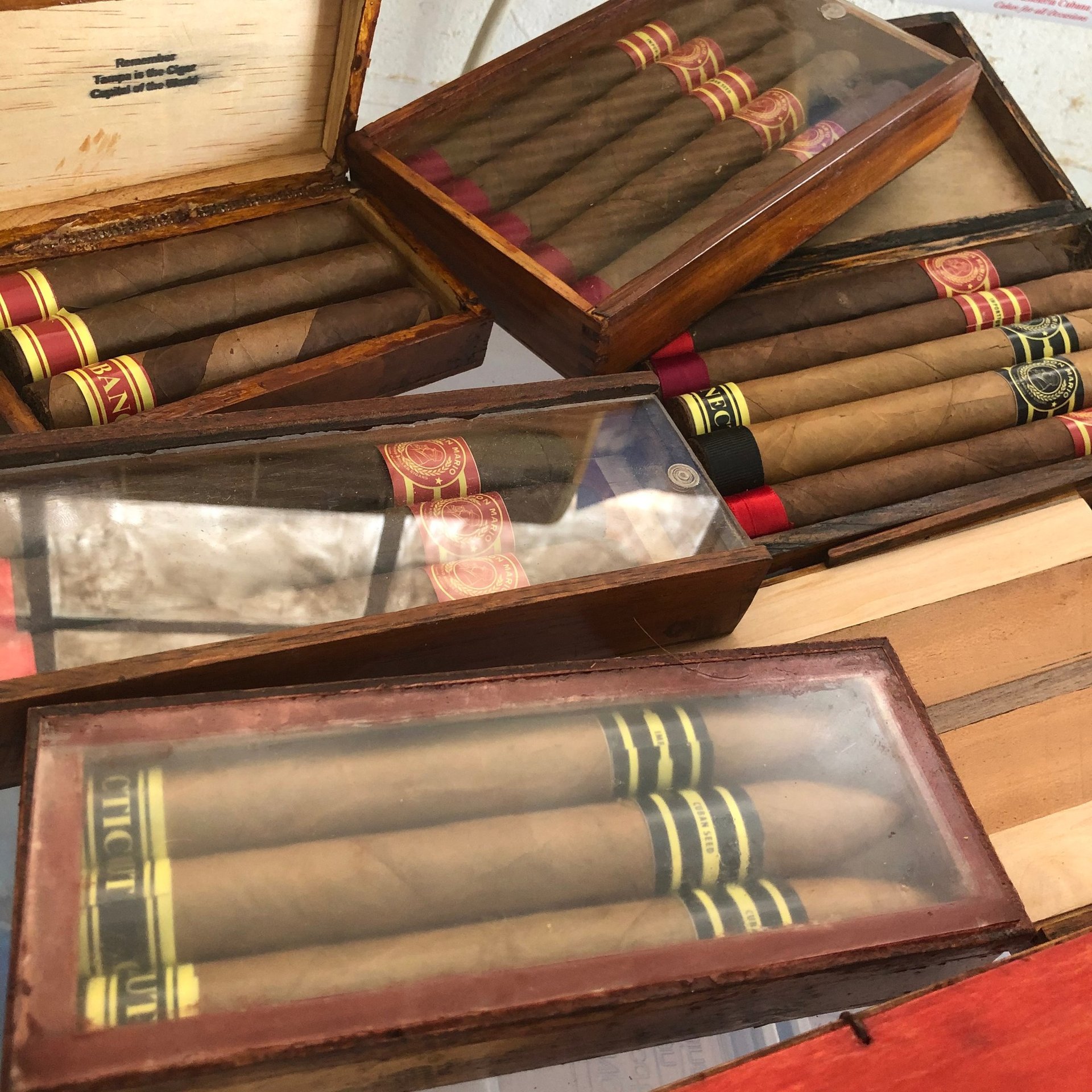 woman holding dried flower