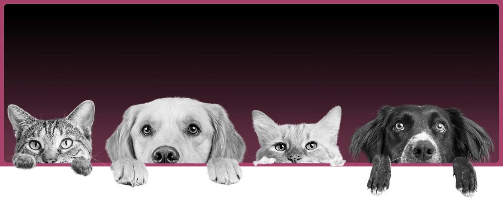 person holding white and blue box