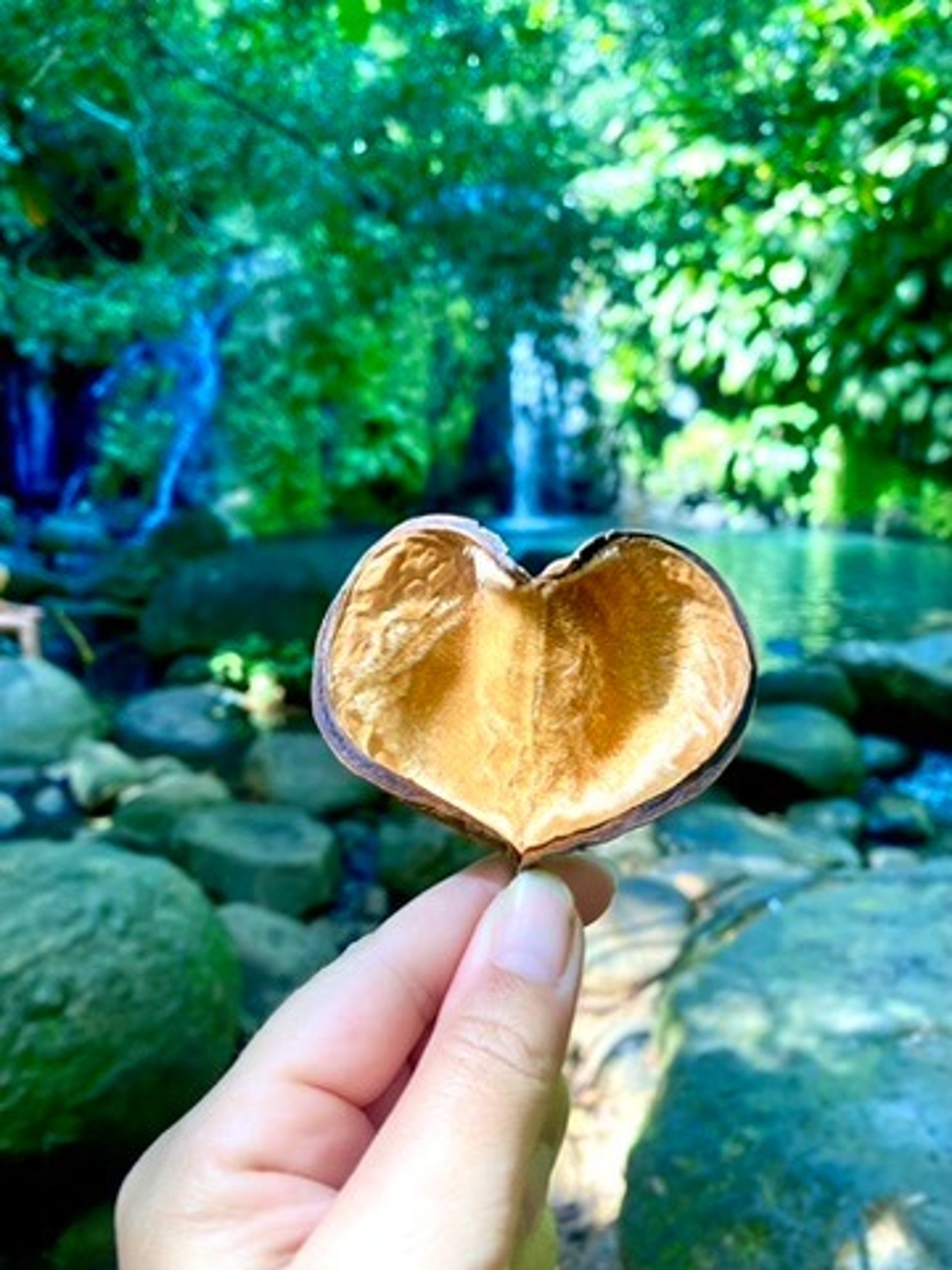 an abstract photo of a curved building with a blue sky in the background