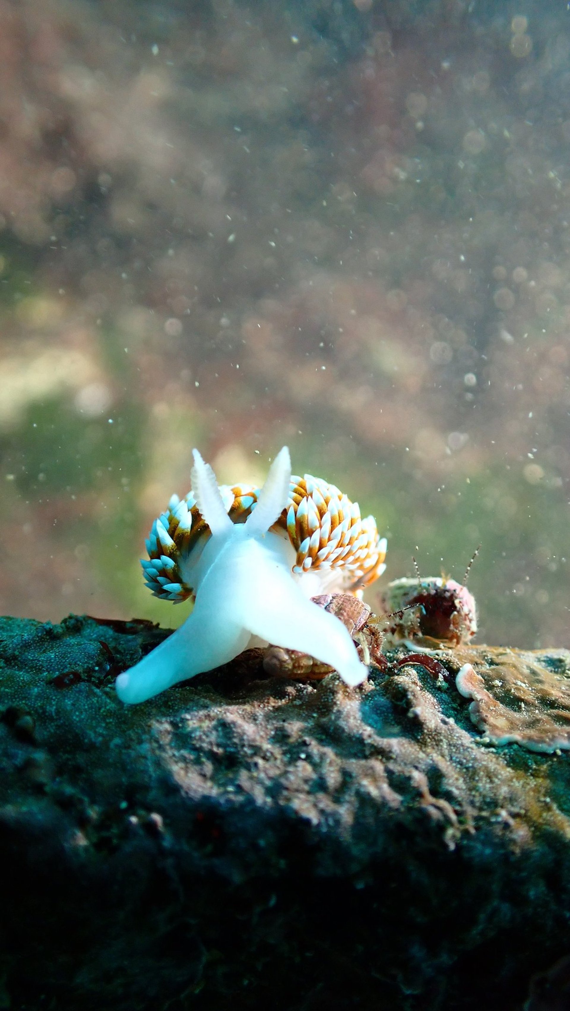 an abstract photo of a curved building with a blue sky in the background