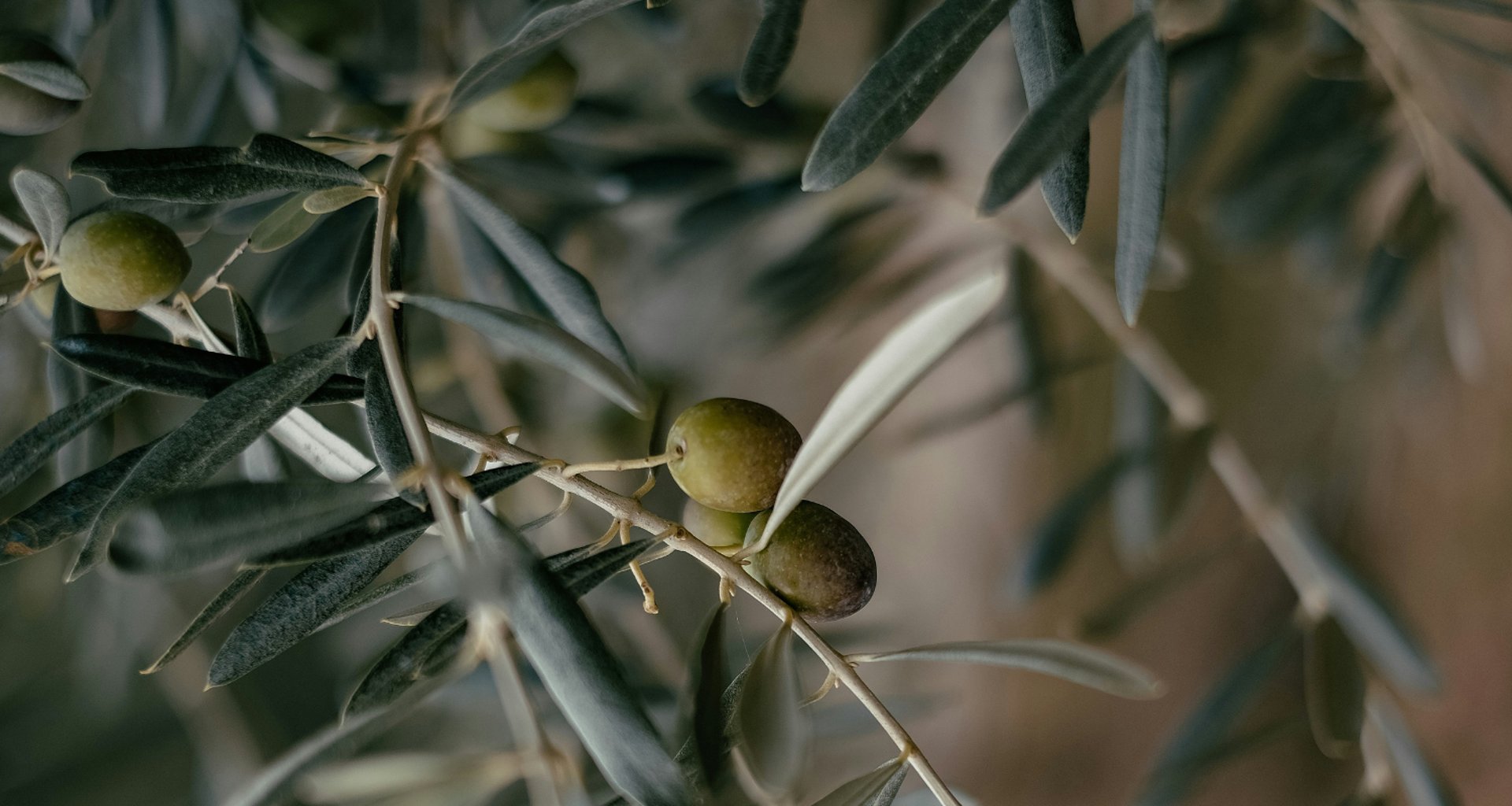 person wearing grey knit sweater