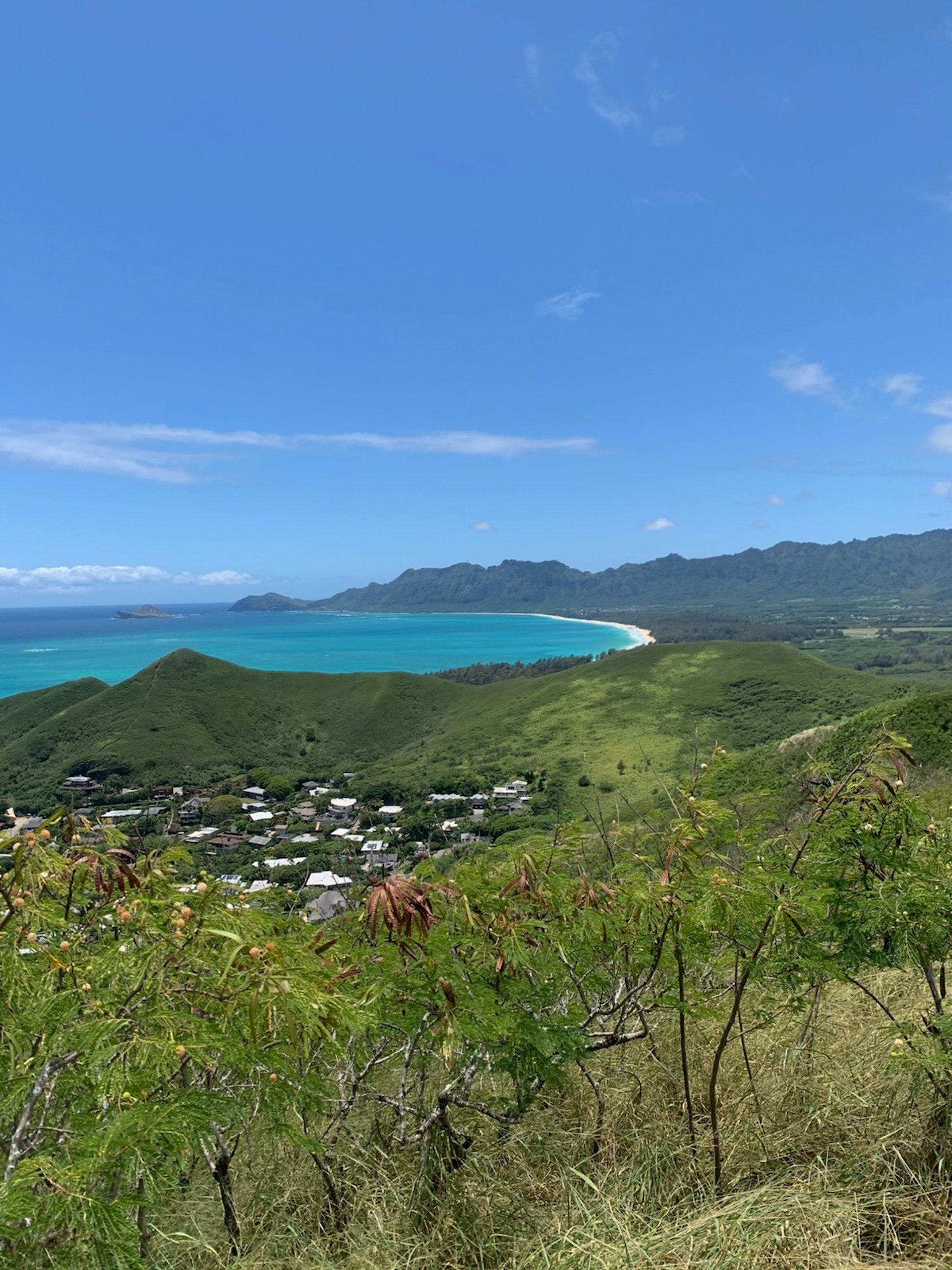 woman wearing yellow long-sleeved dress under white clouds and blue sky during daytime