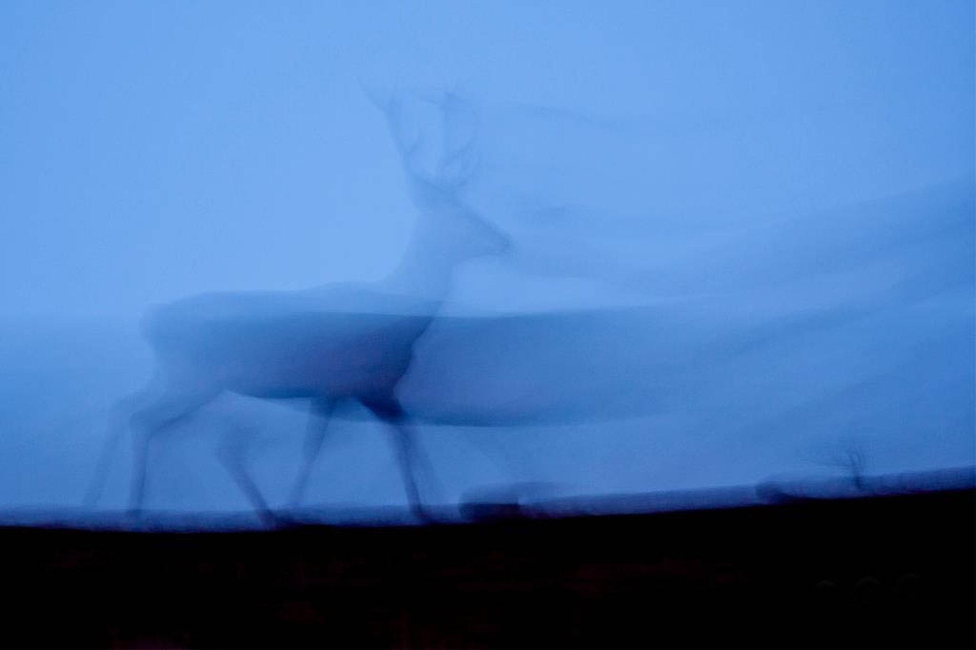 mountain range under blue sky