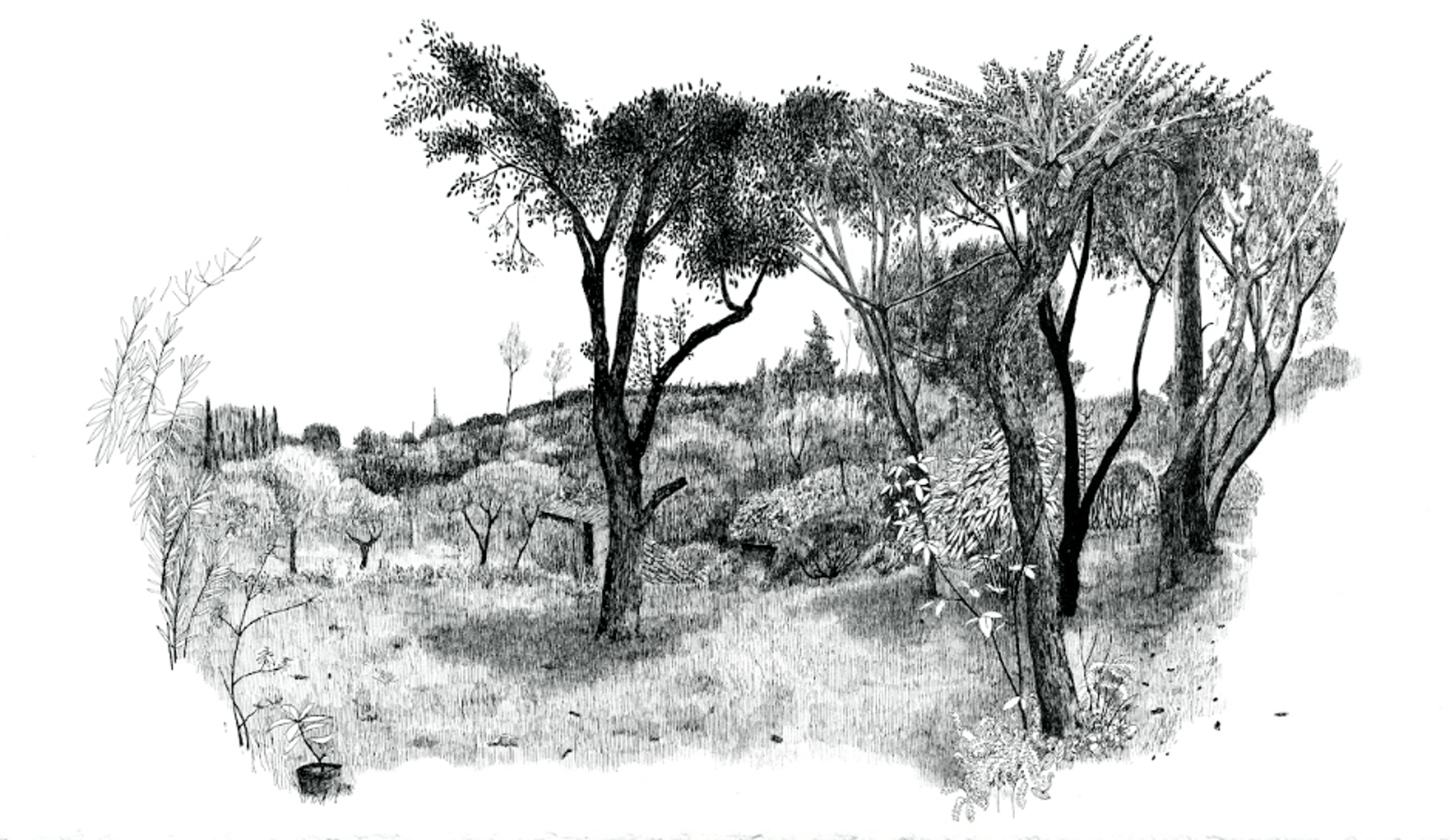 black blue and yellow textile