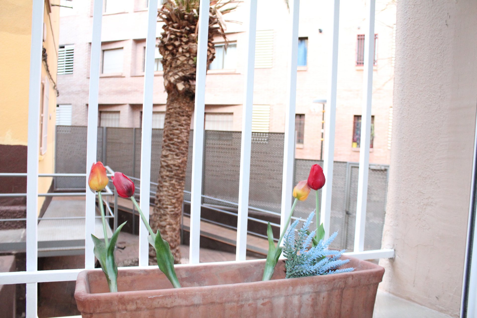 inmobiliaria-zaragoza-sanjose