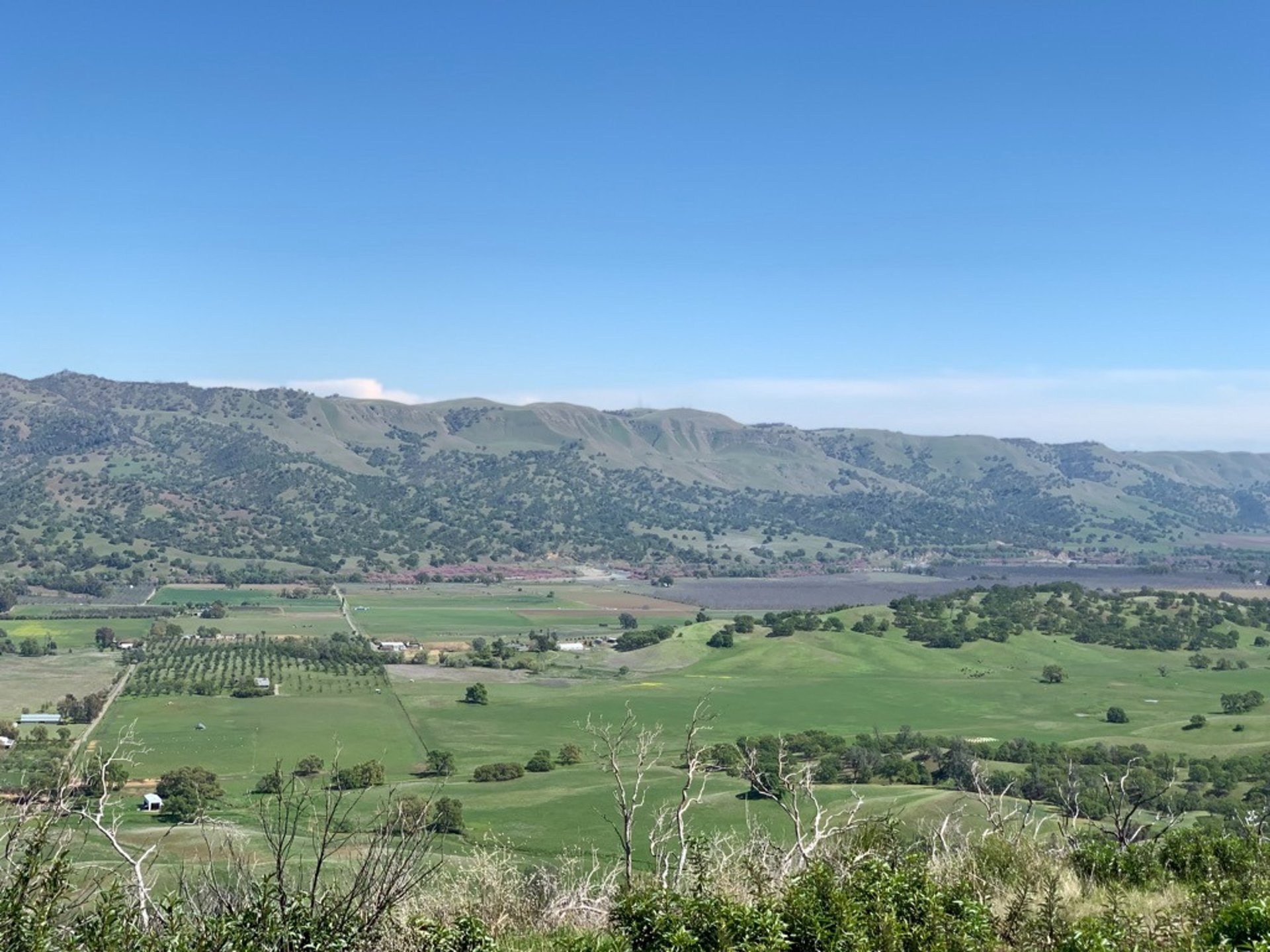 woman wearing yellow long-sleeved dress under white clouds and blue sky during daytime