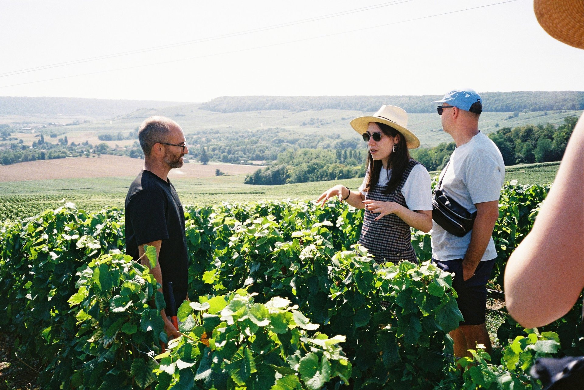 black blue and yellow textile