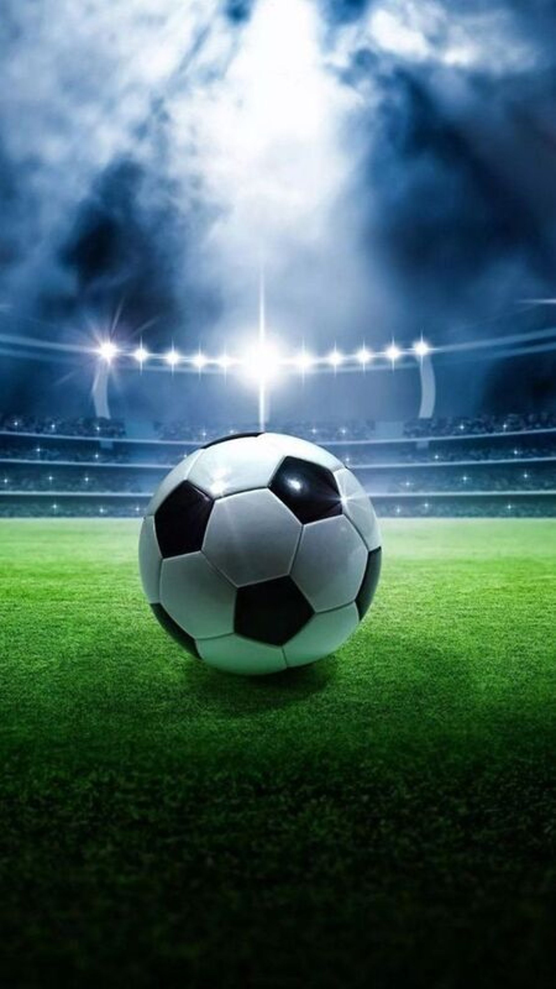 brown wooden house on lake