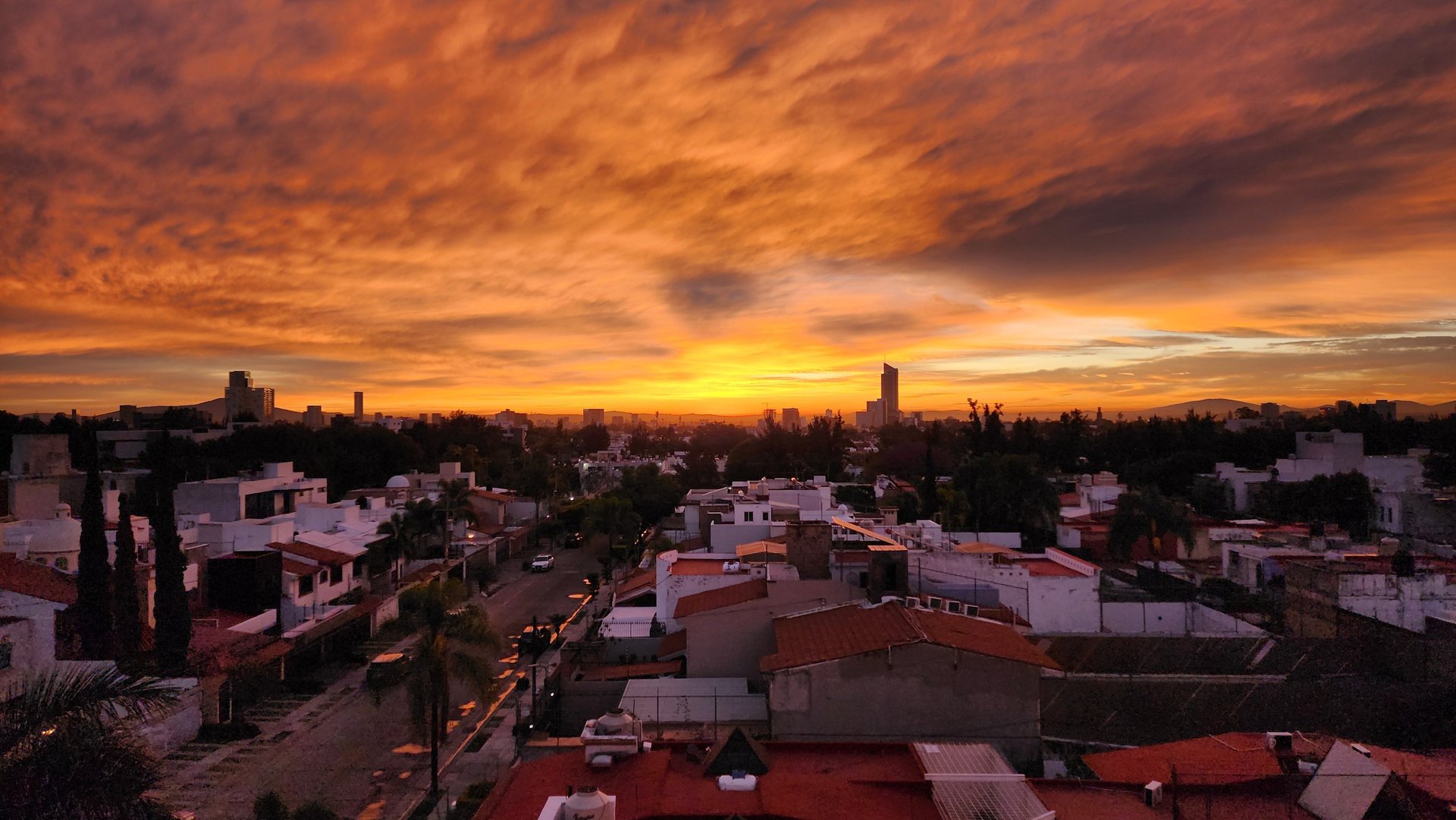 white book behind mug