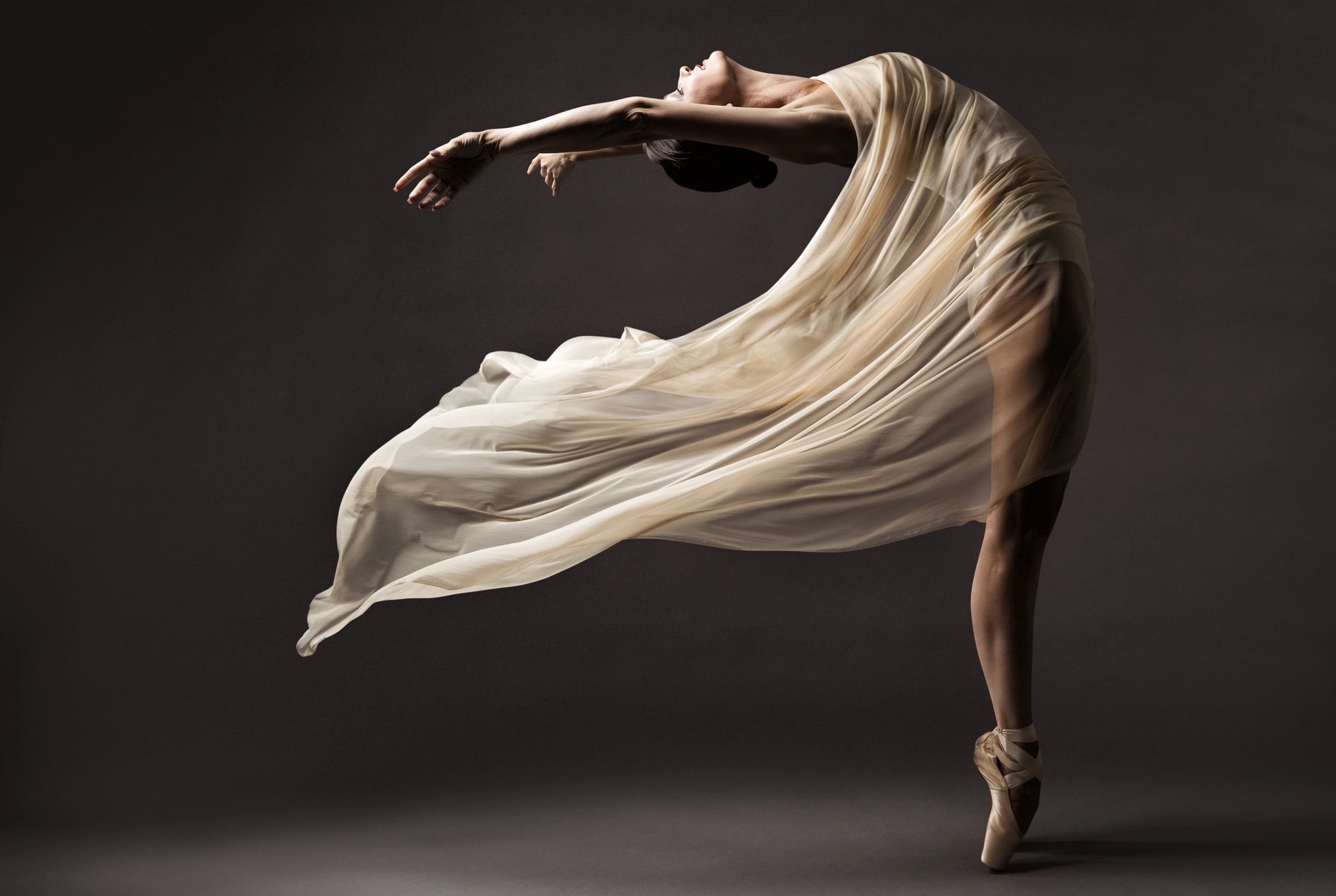 Ballerina with a Silk Dress