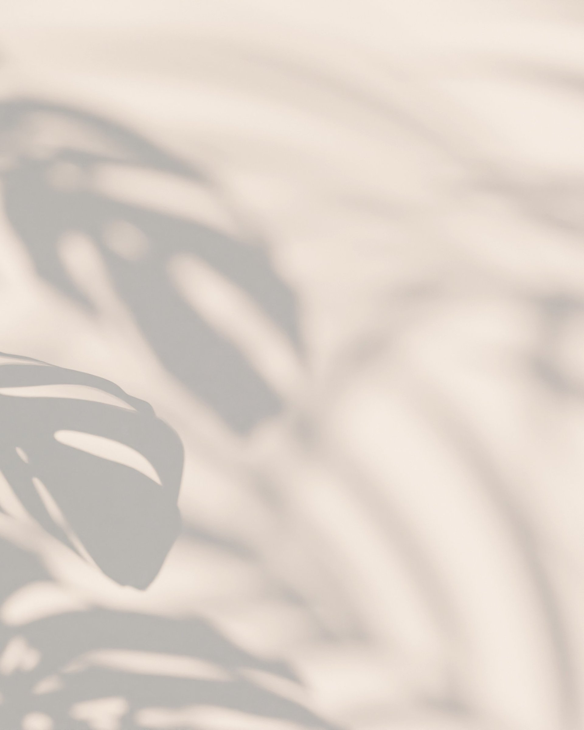 green leaves on white wall