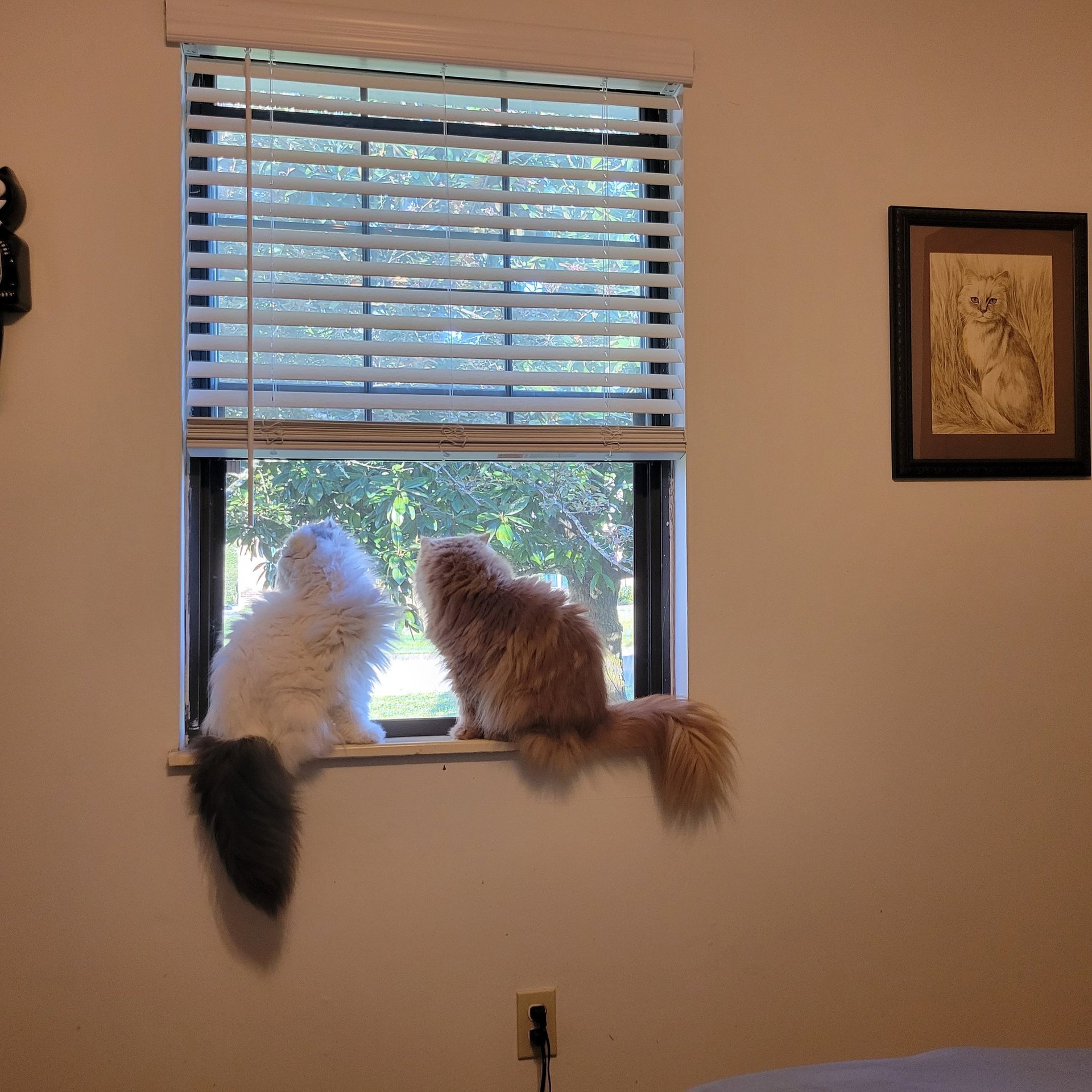 woman wearing yellow long-sleeved dress under white clouds and blue sky during daytime