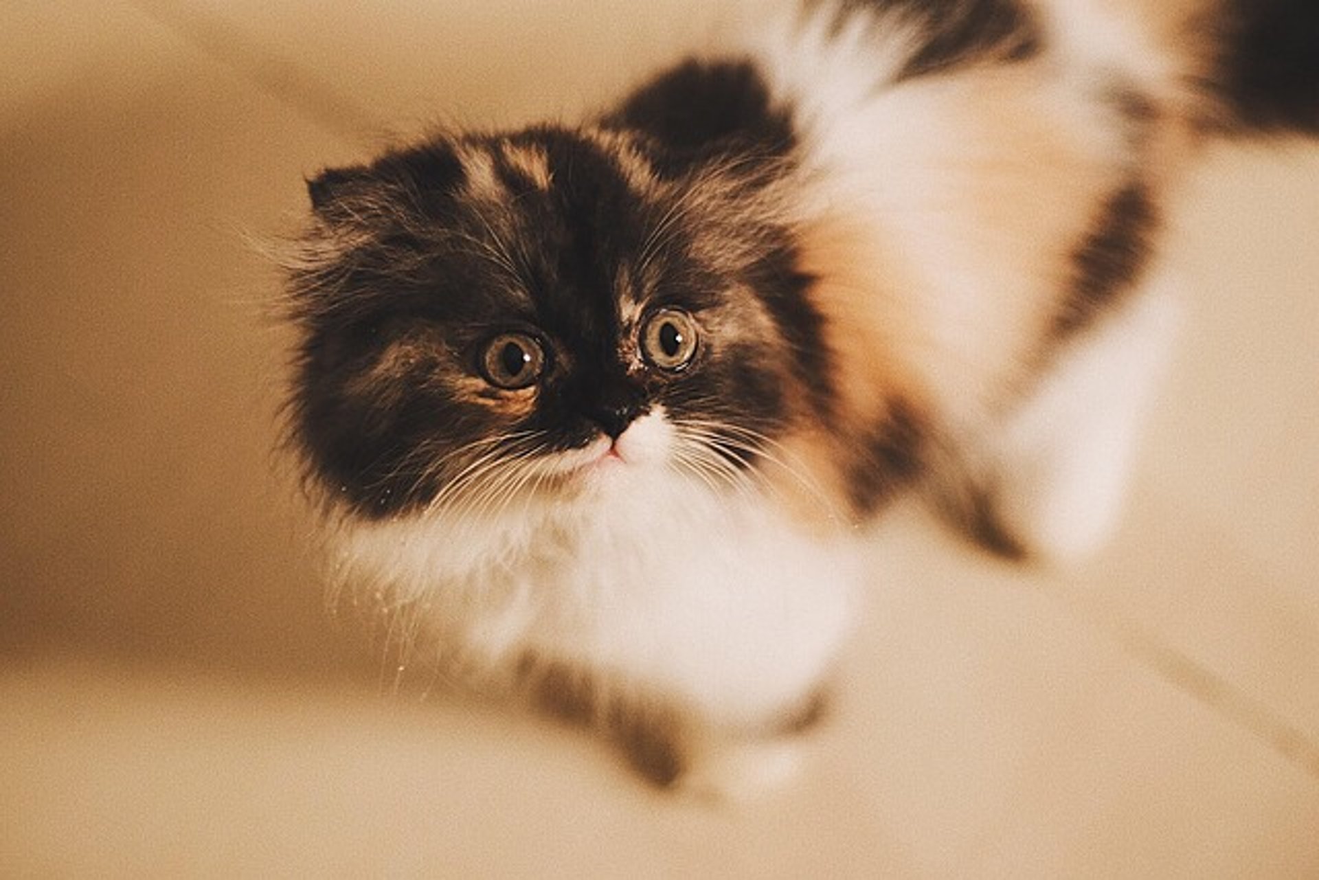 woman wearing yellow long-sleeved dress under white clouds and blue sky during daytime