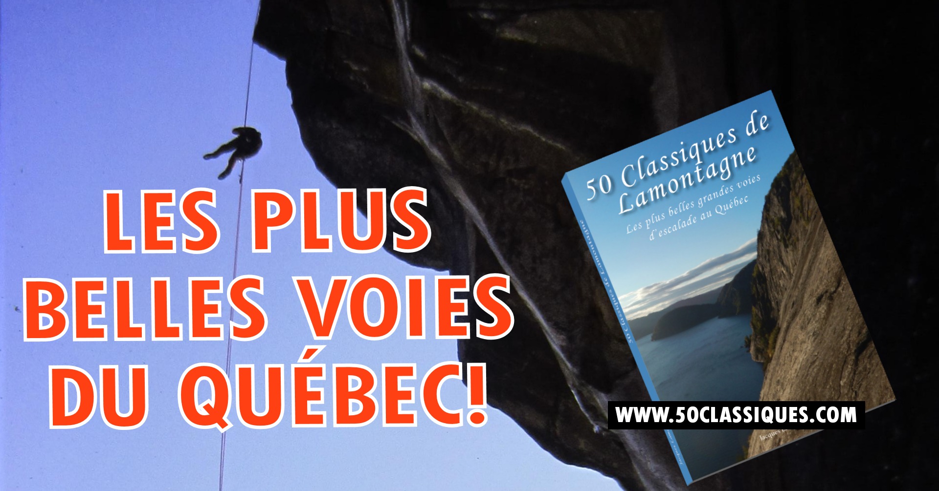 woman holding dried flower