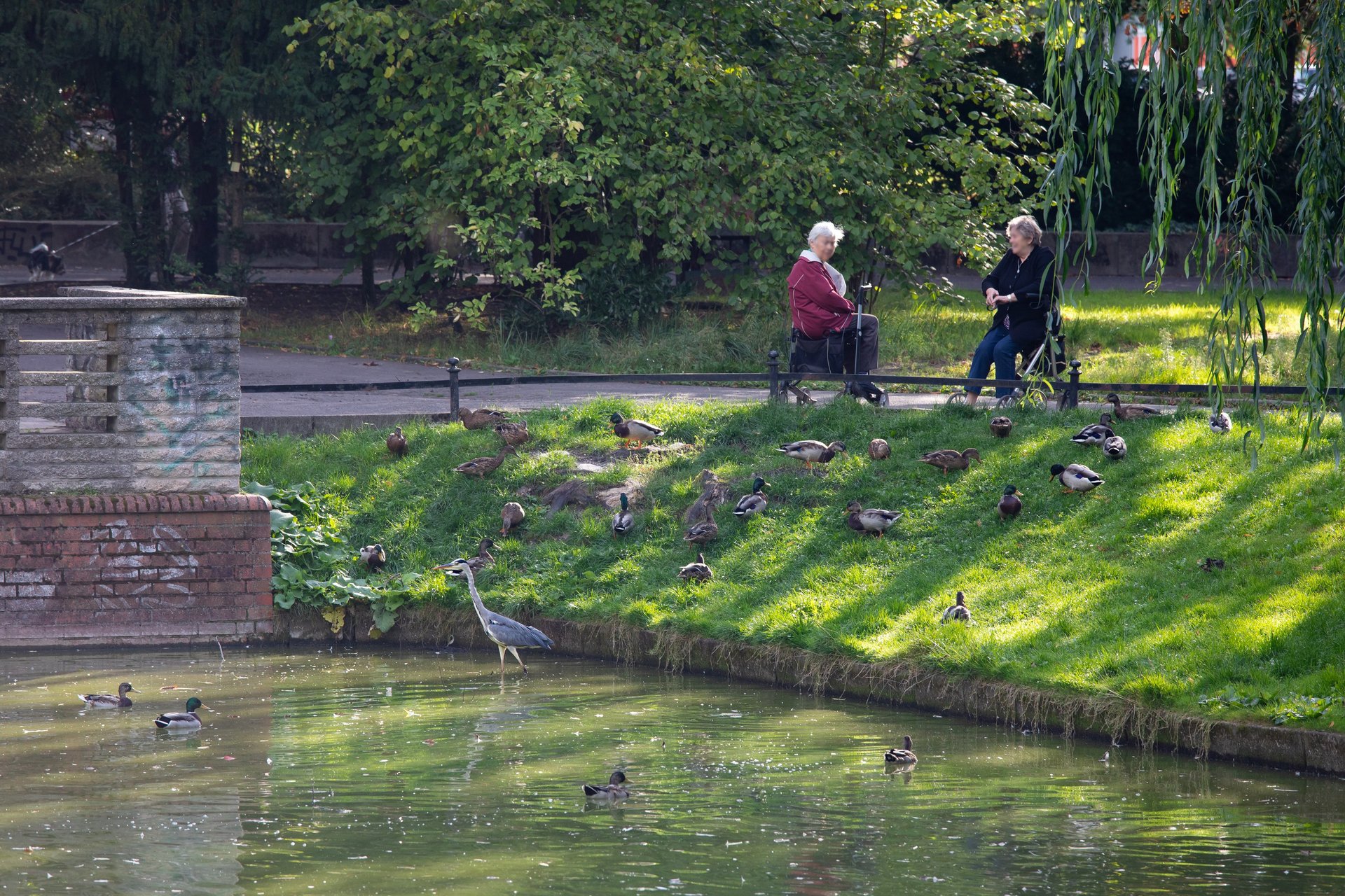 woman sitting on bench