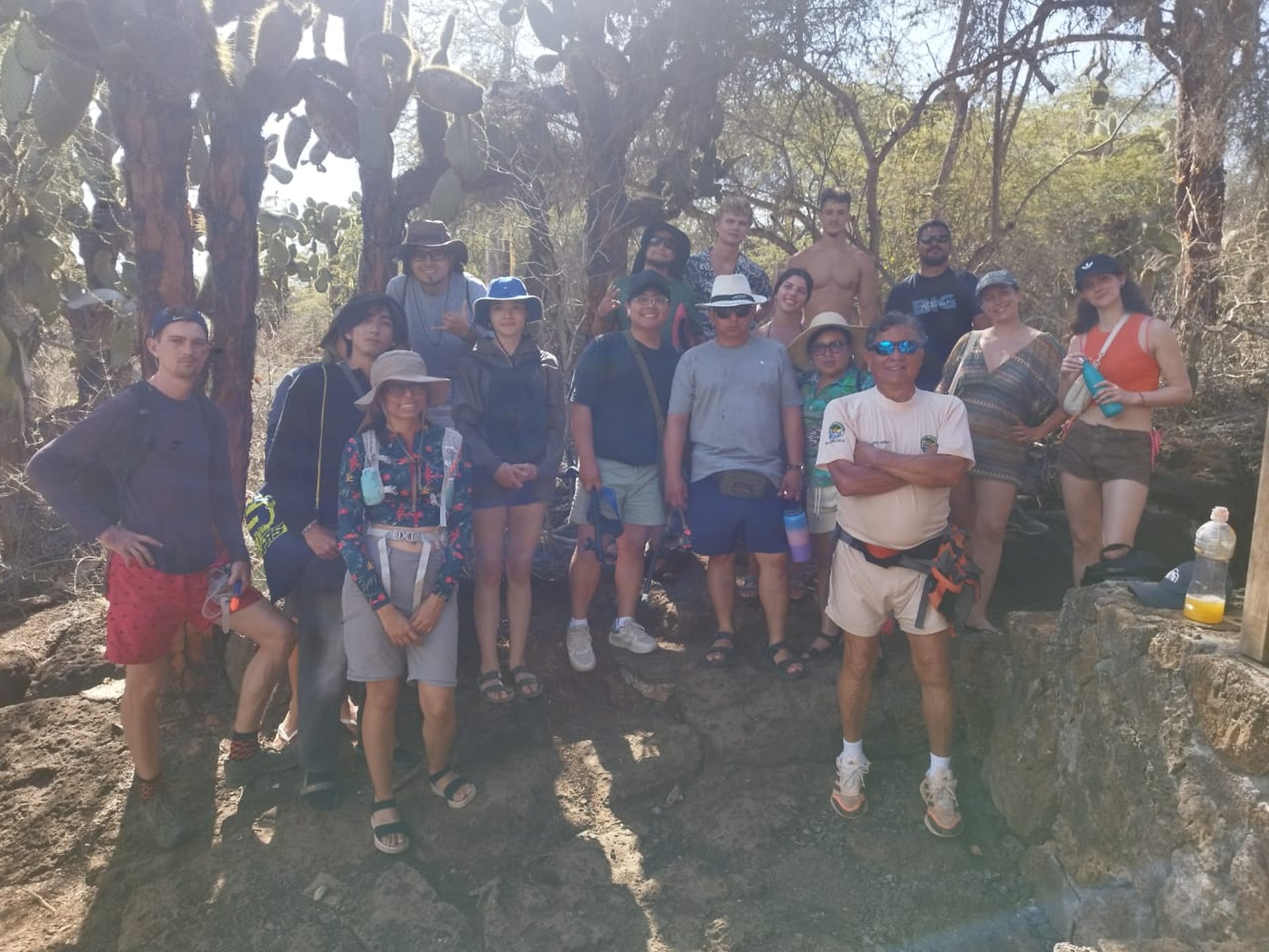 black and brown leather padded tub sofa